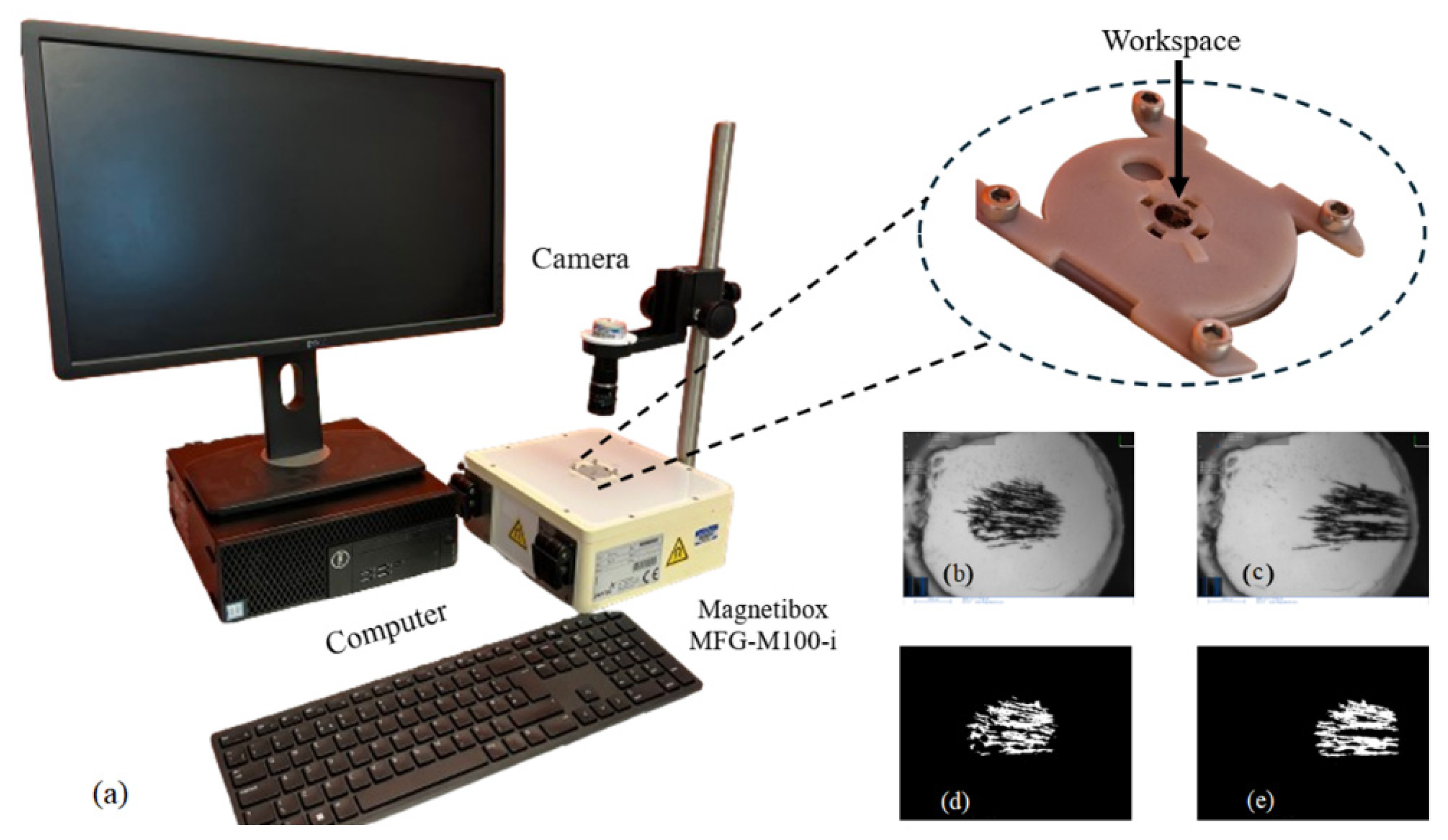 Nanomaterials 14 01917 g005