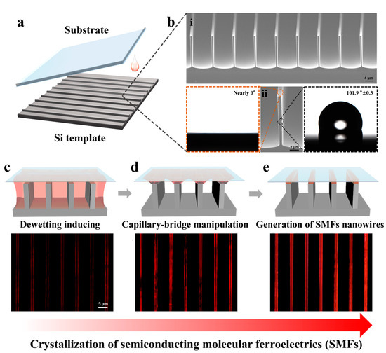 Enhancement of the anisotropic photocurrent in ferroelectric