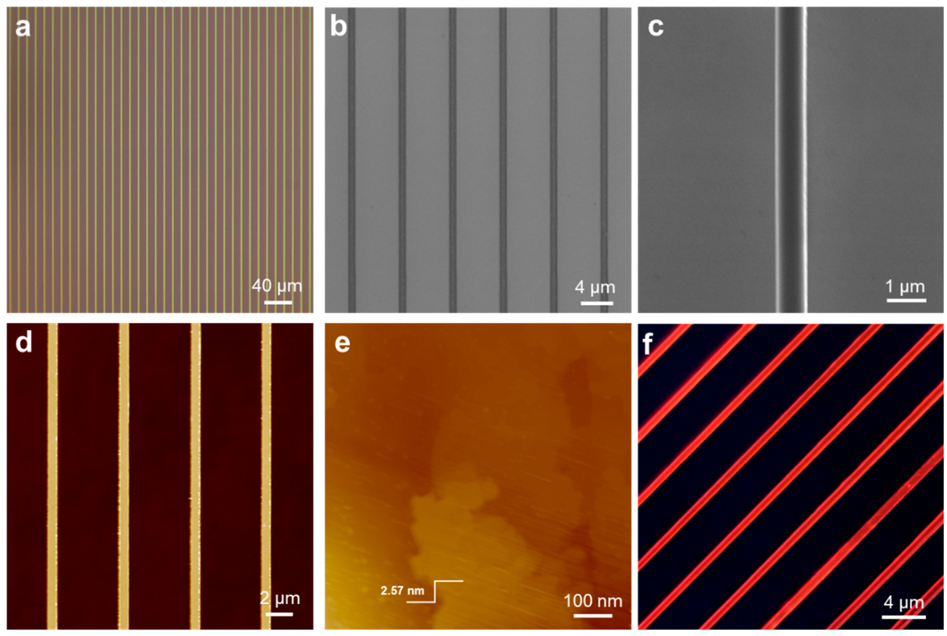 Nanomaterials 14 01920 g002
