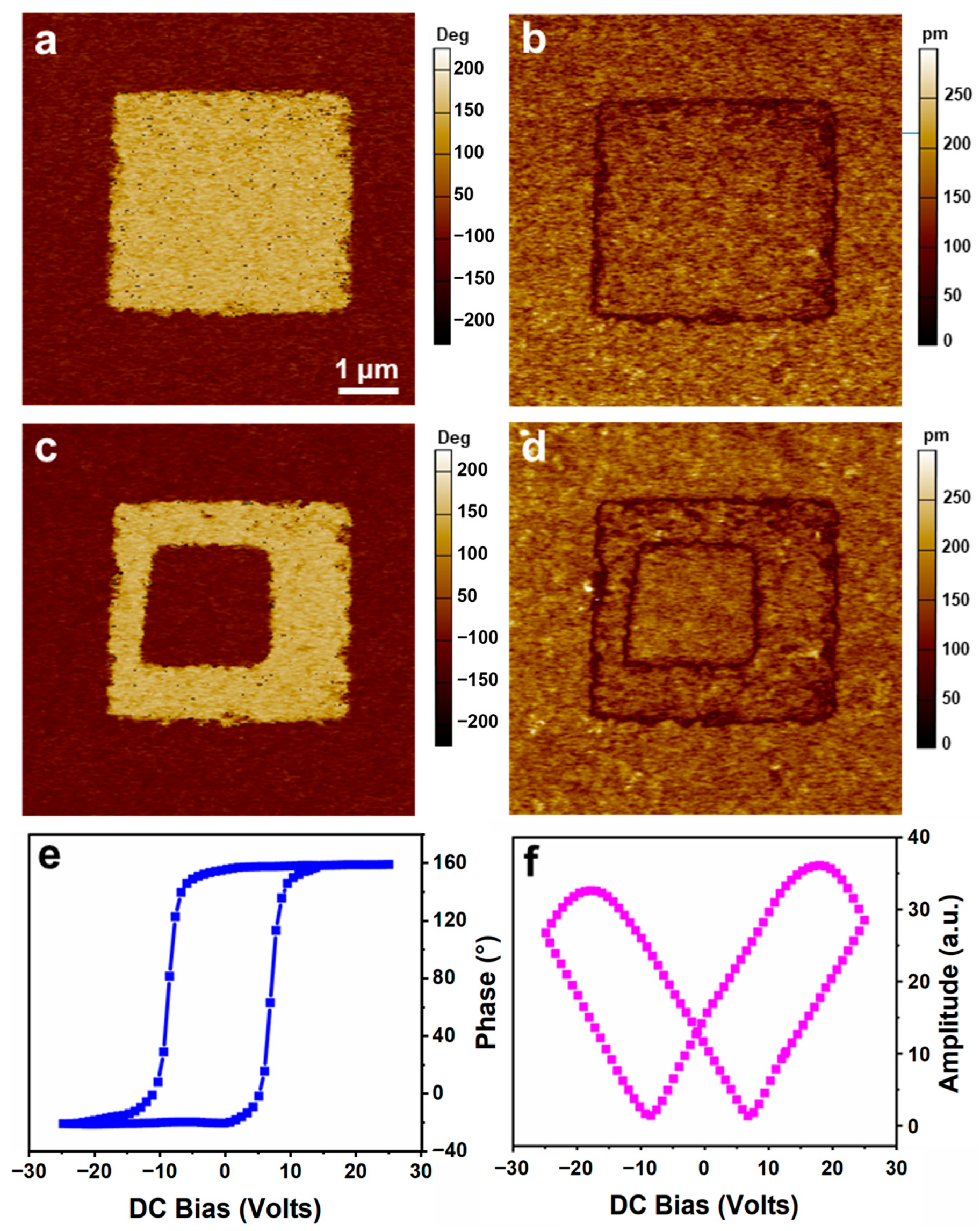Nanomaterials 14 01920 g004