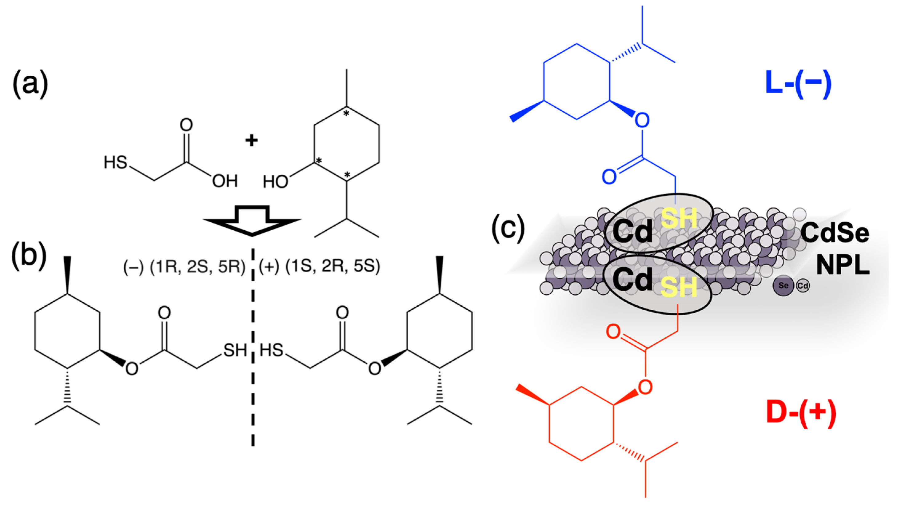 Nanomaterials 14 01921 g001