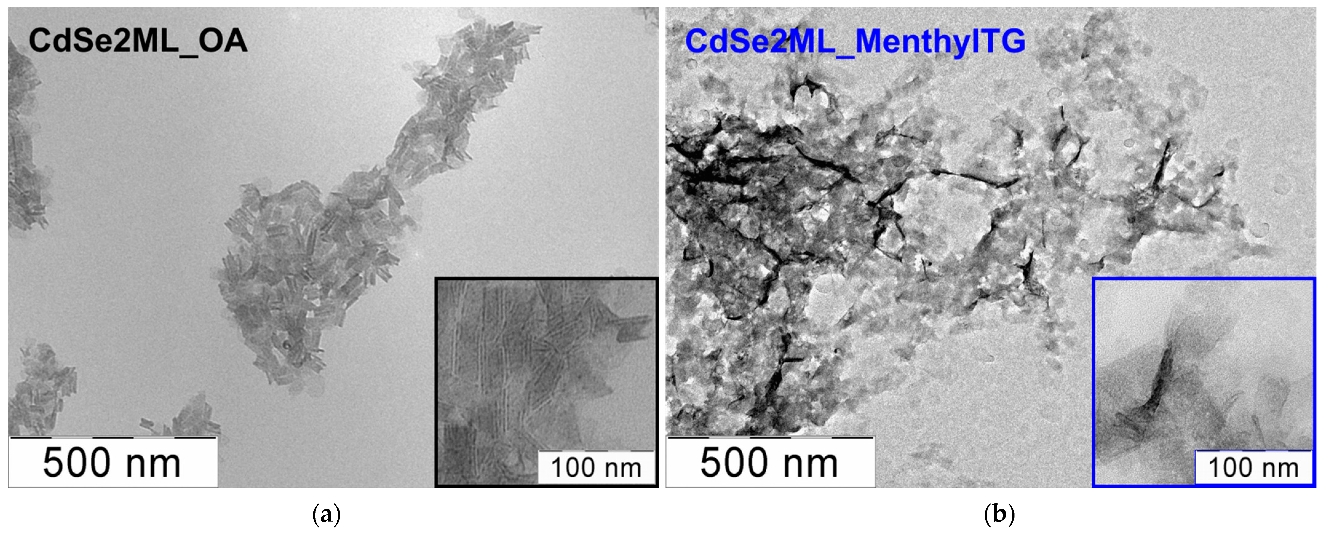 Nanomaterials 14 01921 g003