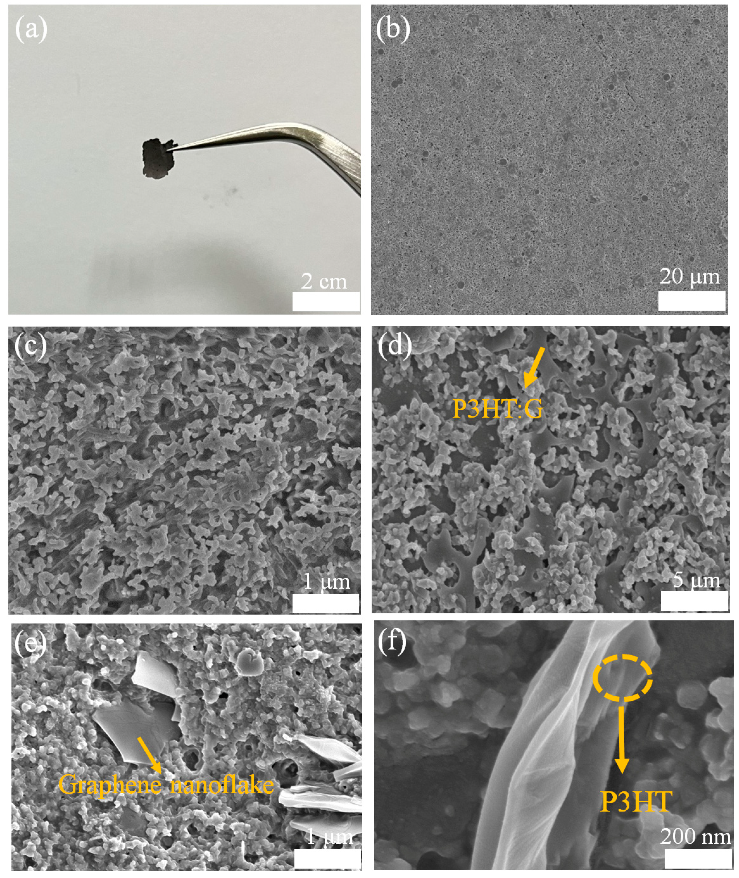 Nanomaterials 14 01923 g002