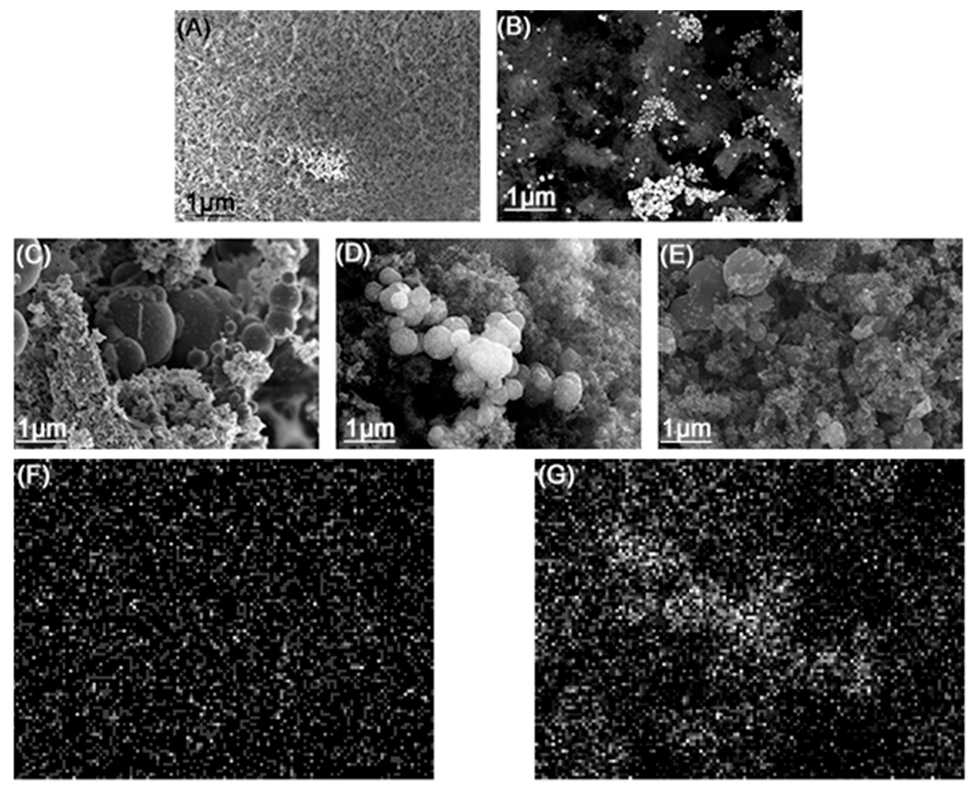 Nanomaterials 14 01924 g004