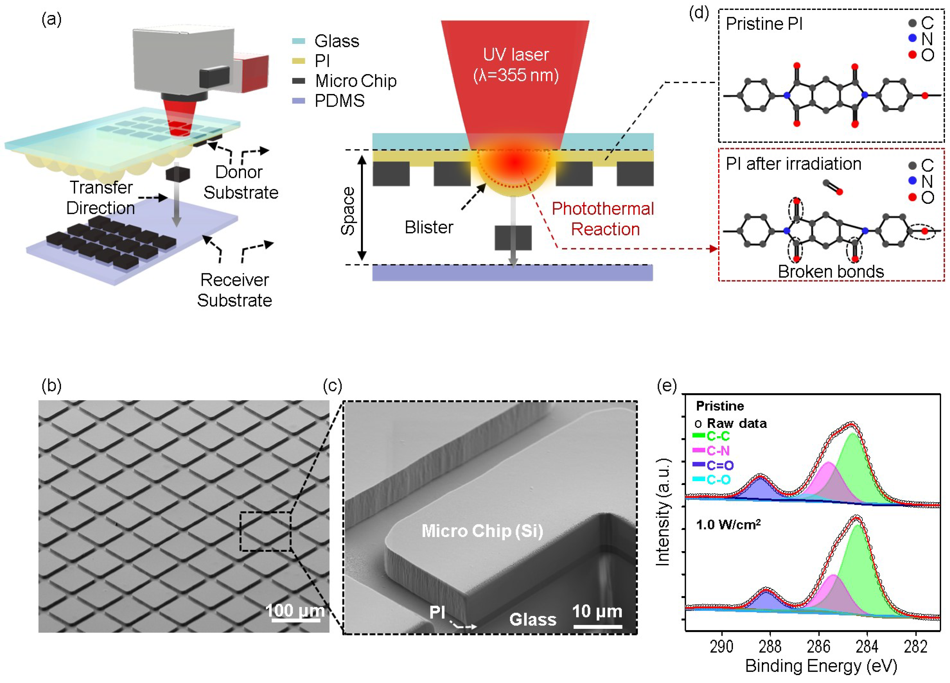 Nanomaterials 14 01926 g001