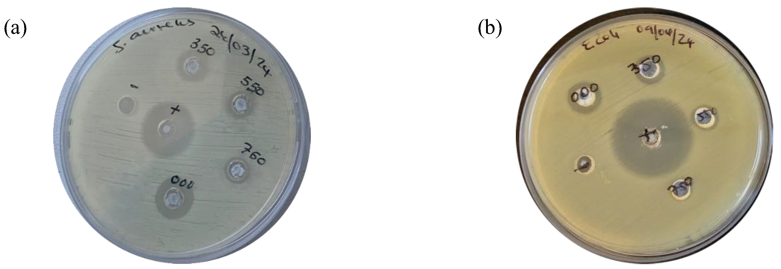 Nanomaterials 14 01929 g009