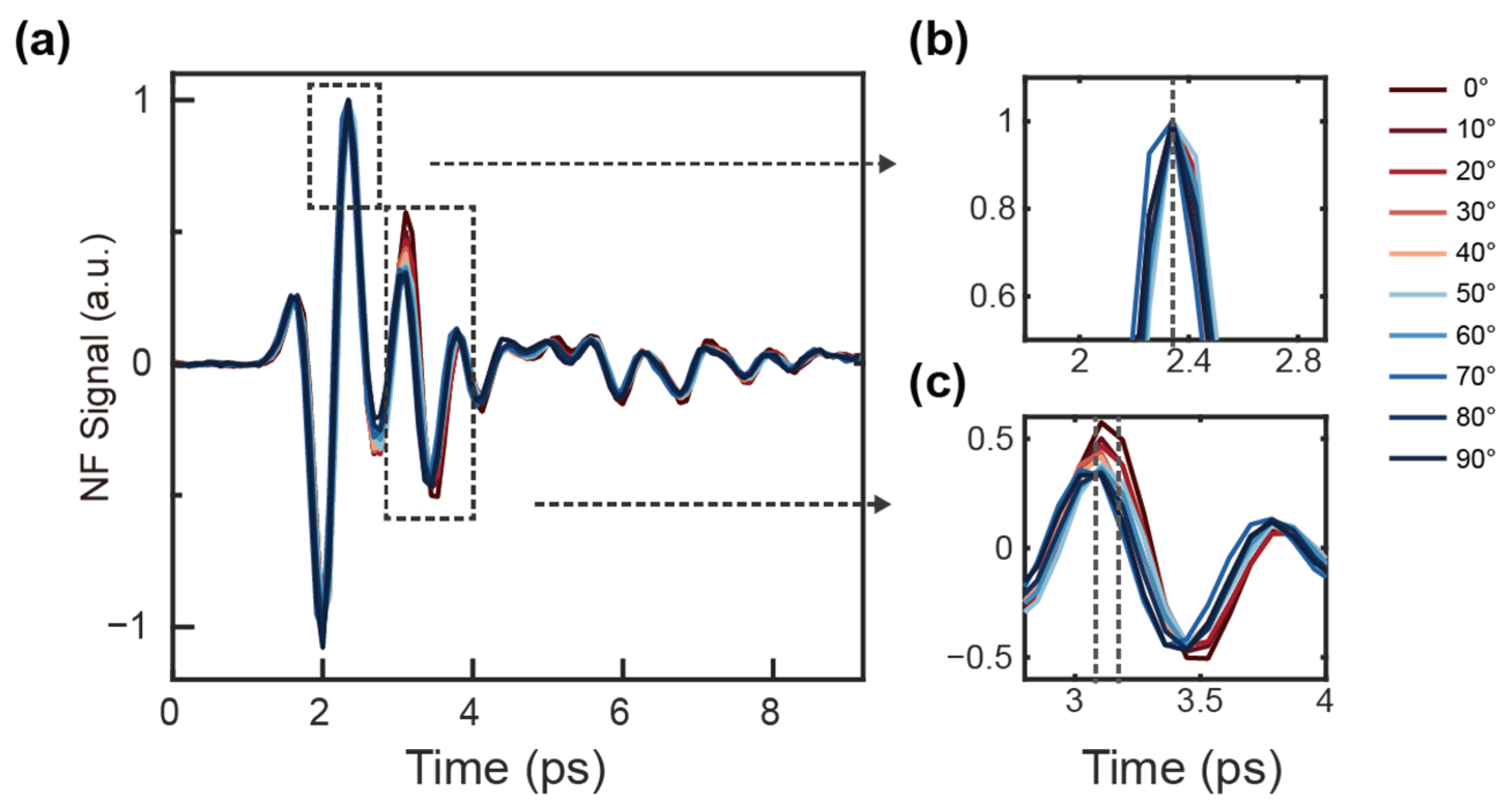 Nanomaterials 14 01932 g003