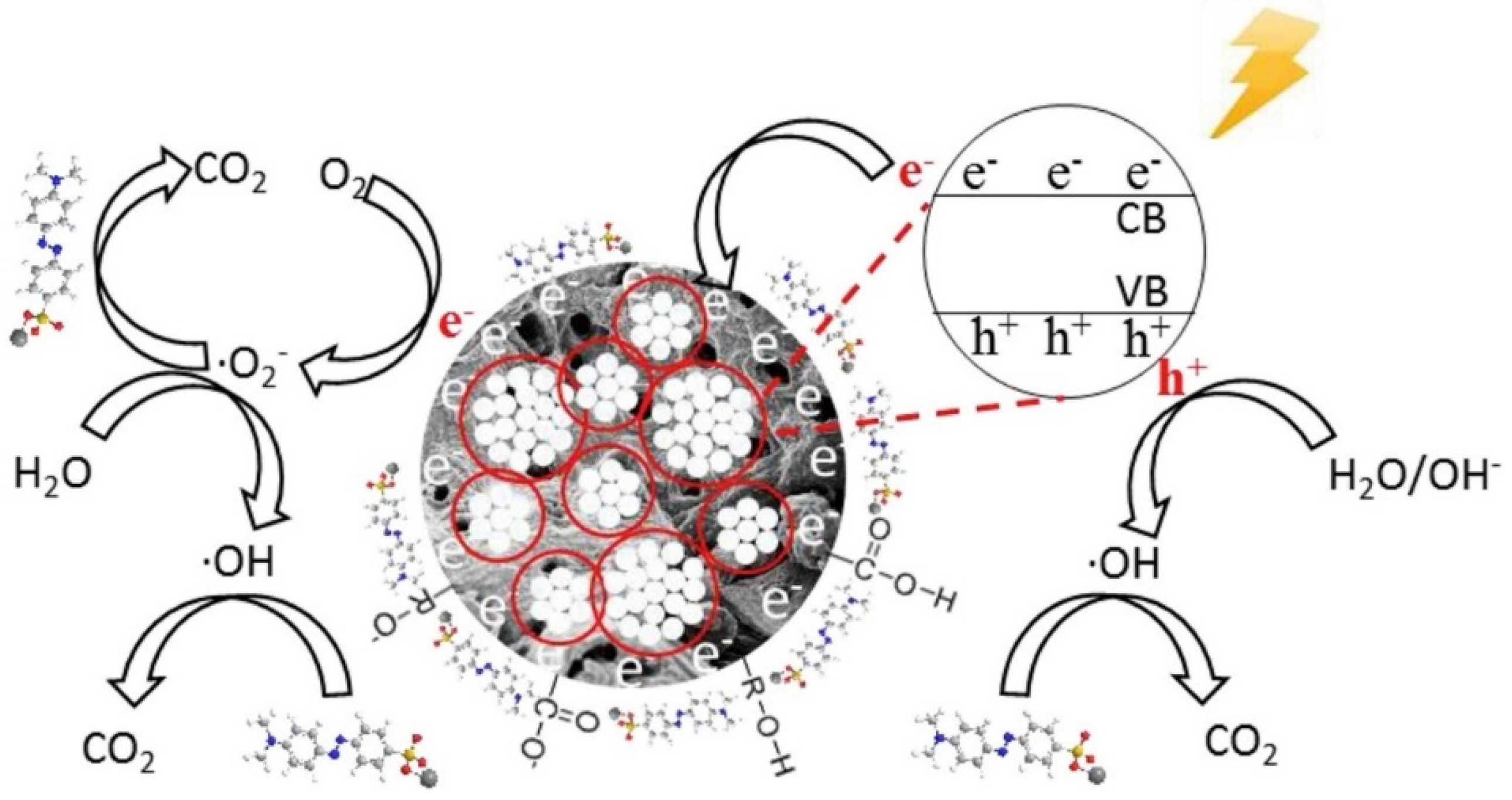Nanomaterials 14 01933 g006