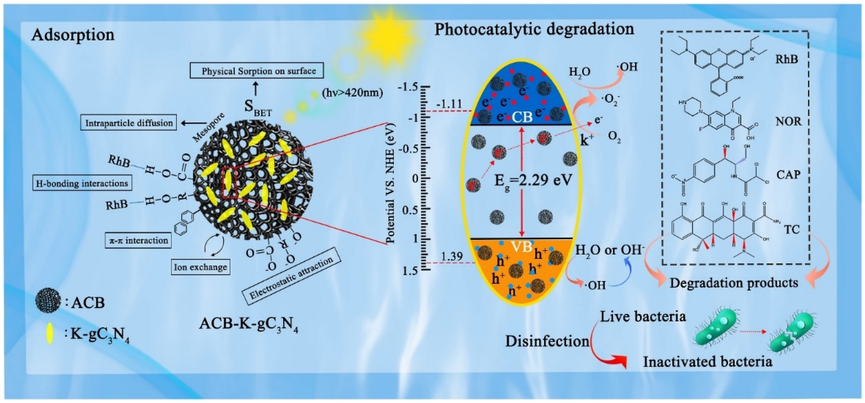 Nanomaterials 14 01933 g007