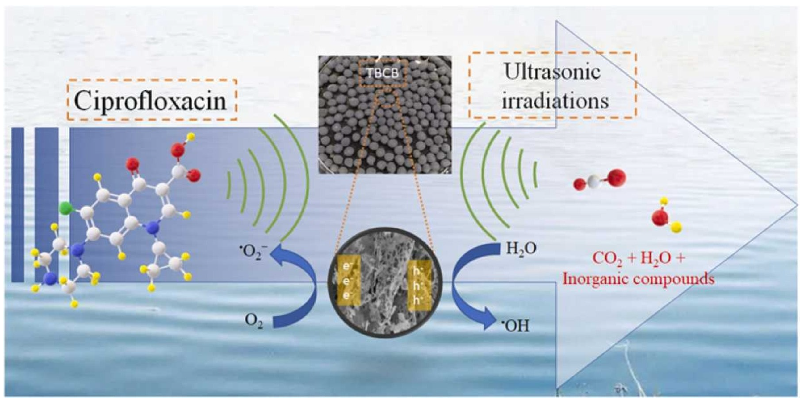 Nanomaterials 14 01933 g008