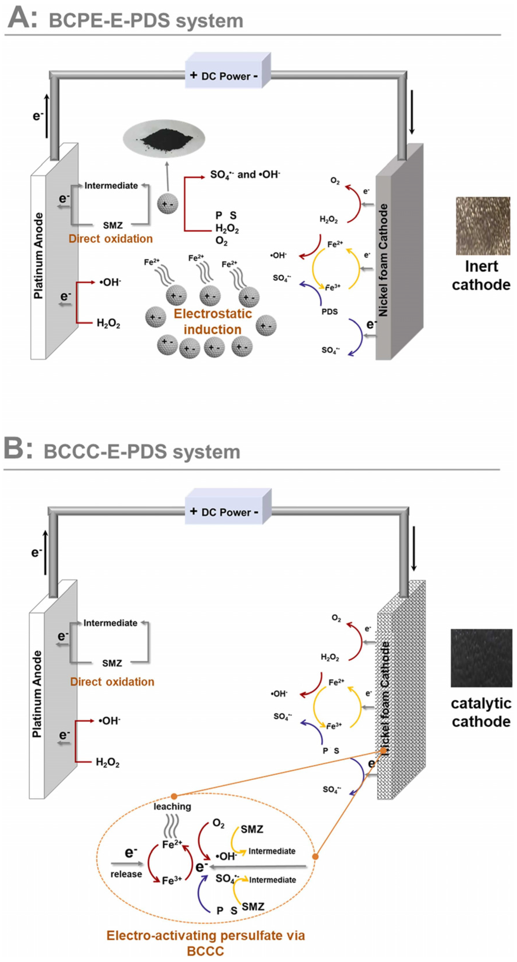 Nanomaterials 14 01933 g009