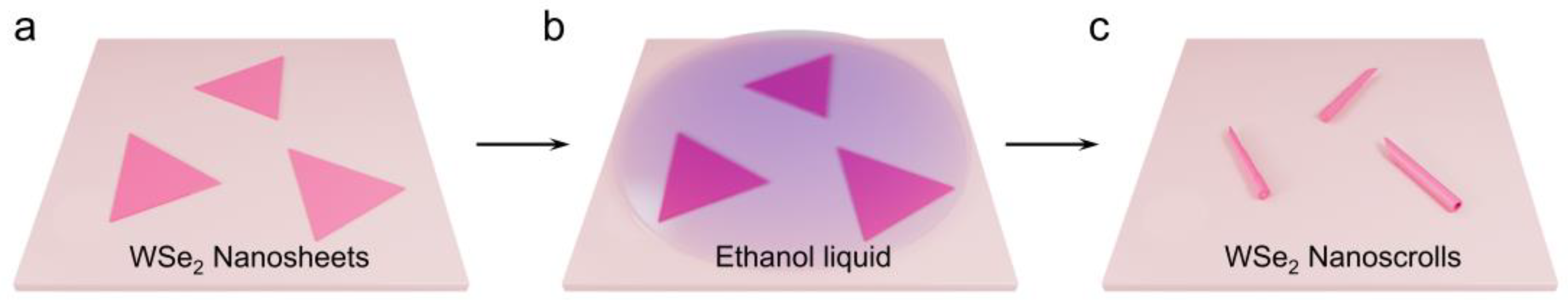 Nanomaterials 14 01935 g001