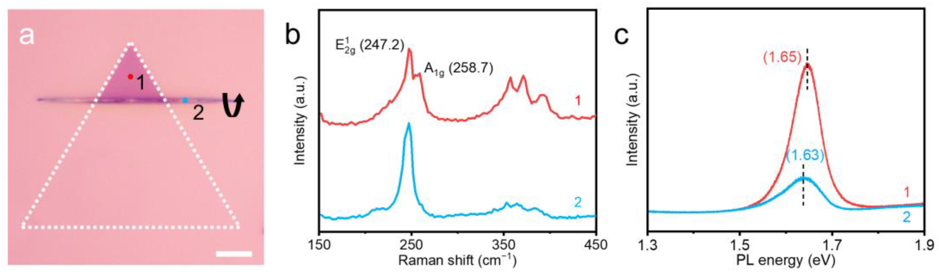 Nanomaterials 14 01935 g002