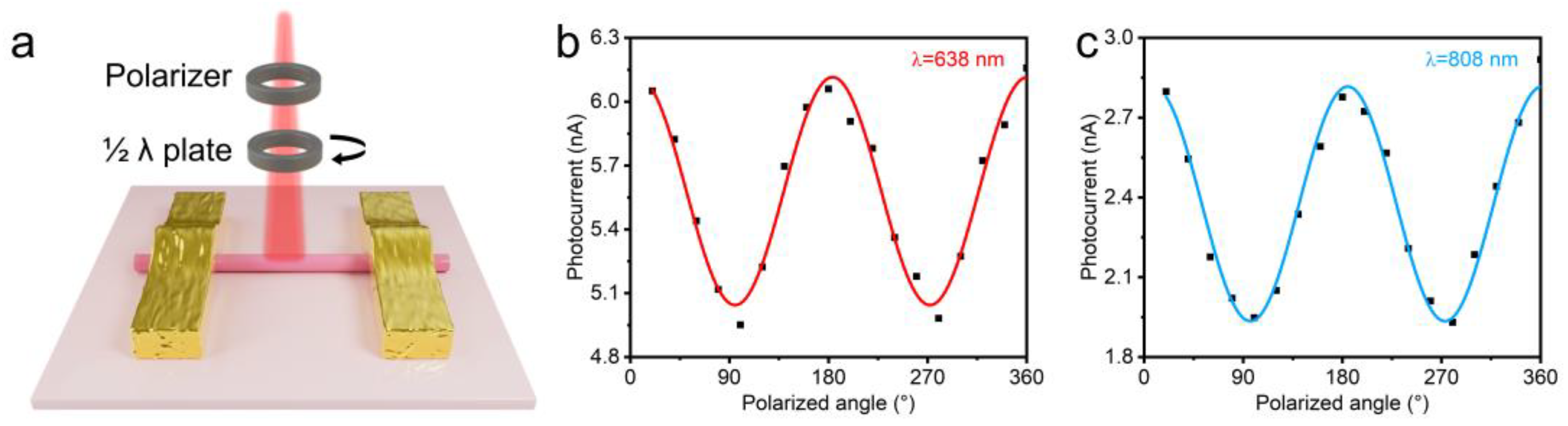 Nanomaterials 14 01935 g005