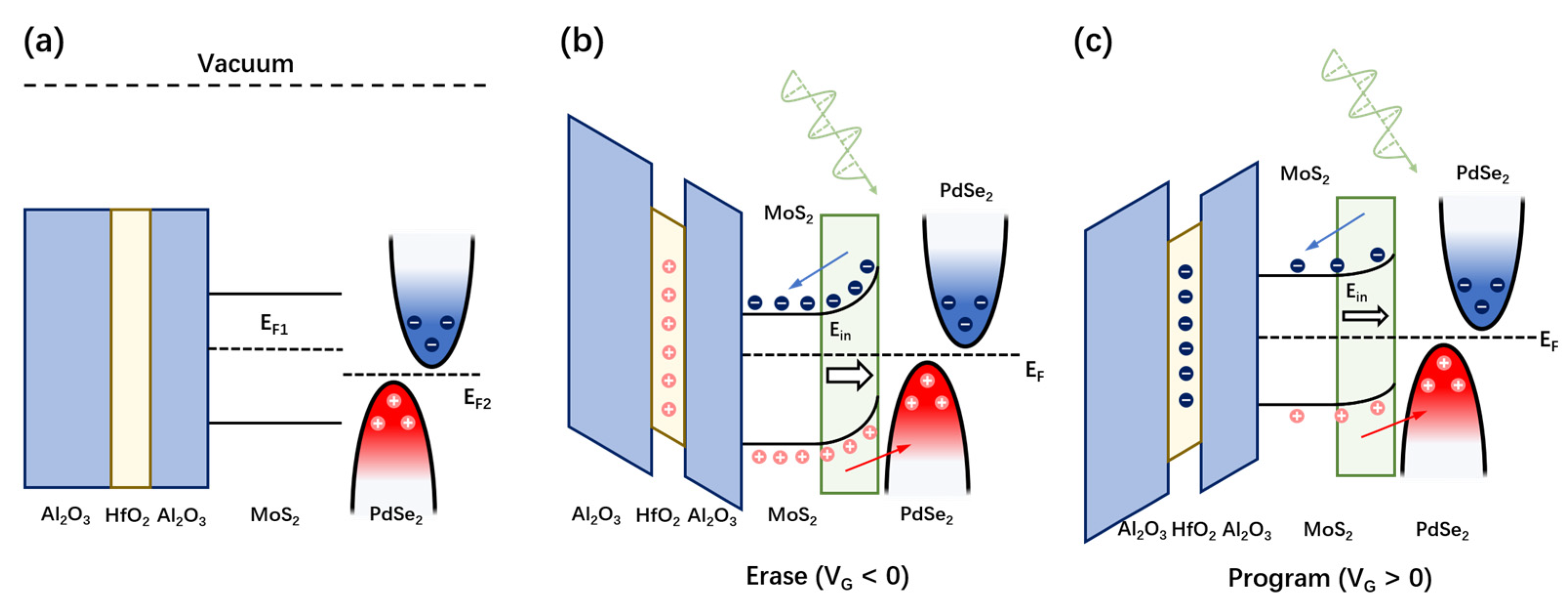 Nanomaterials 14 01936 g005