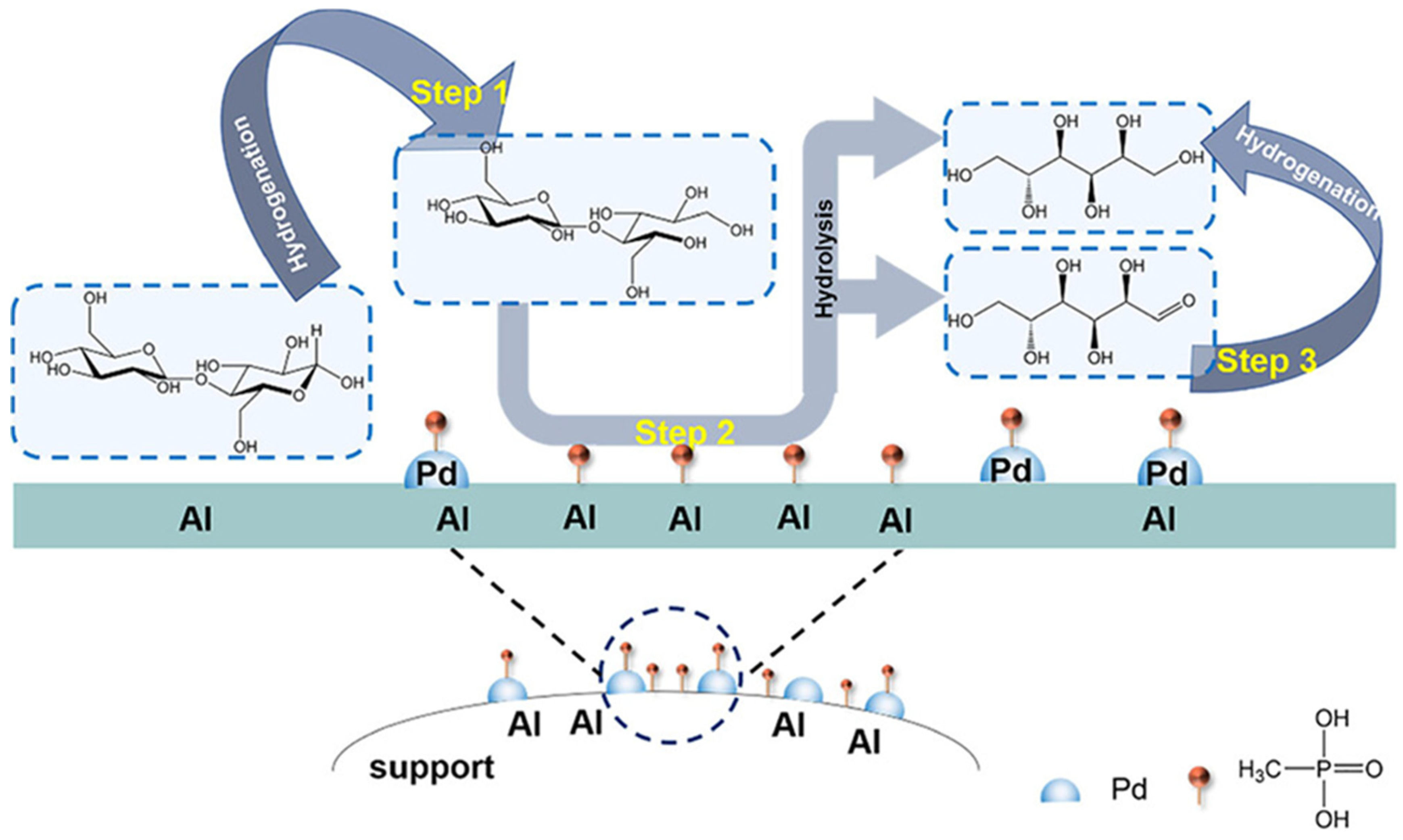 Nanomaterials 14 01937 g011