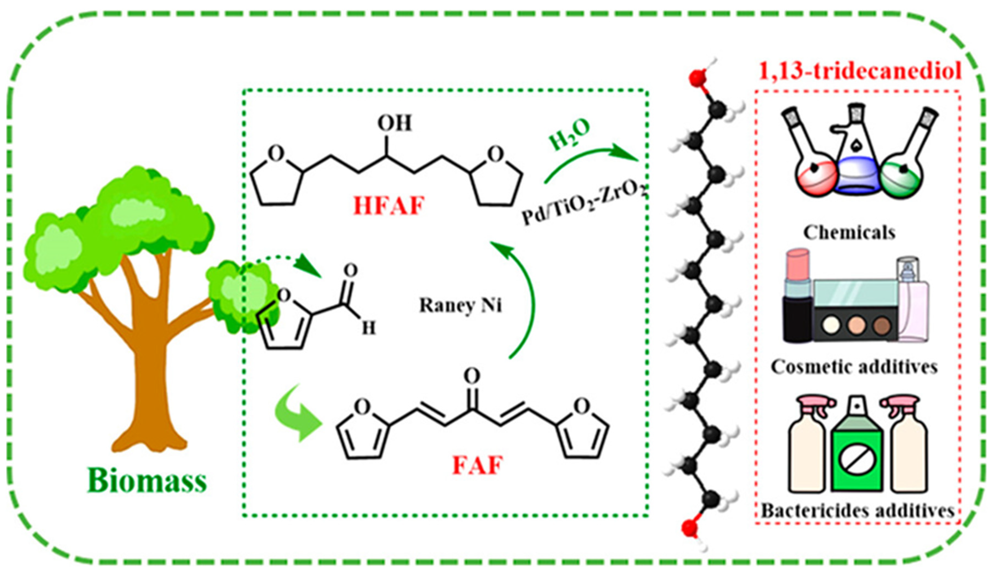 Nanomaterials 14 01937 g013