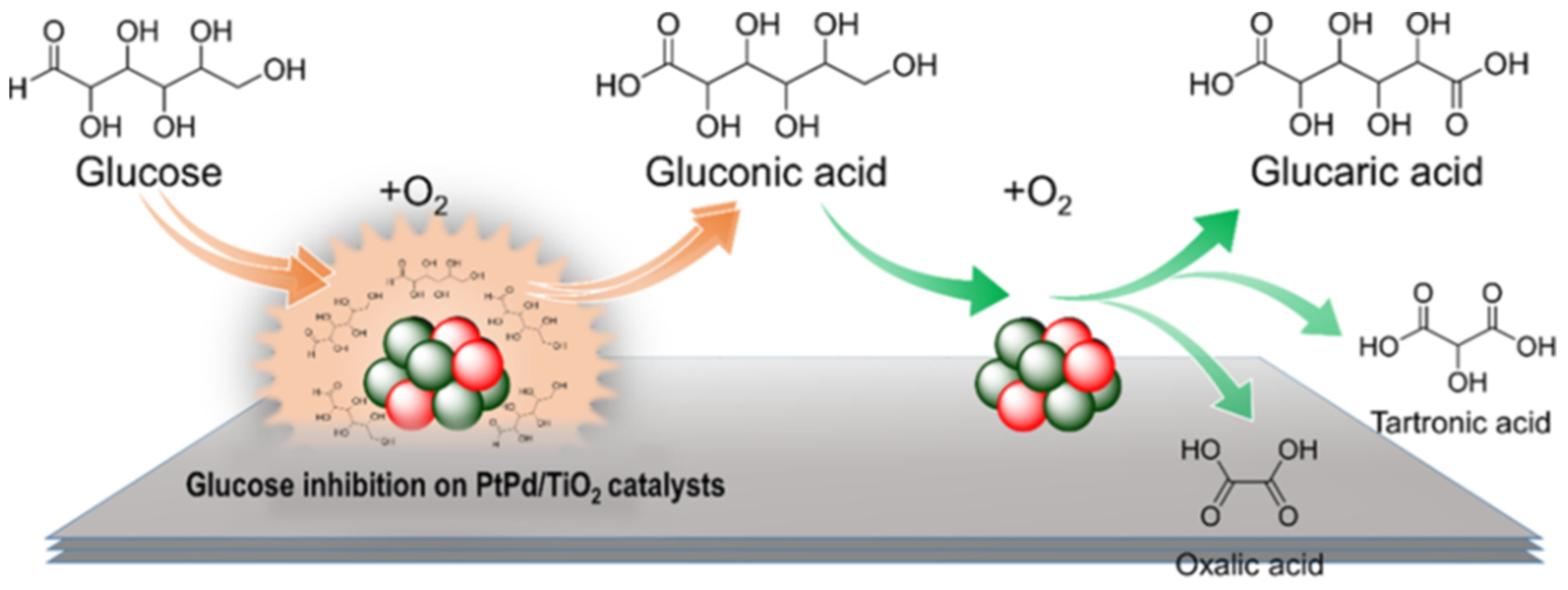 Nanomaterials 14 01937 g014