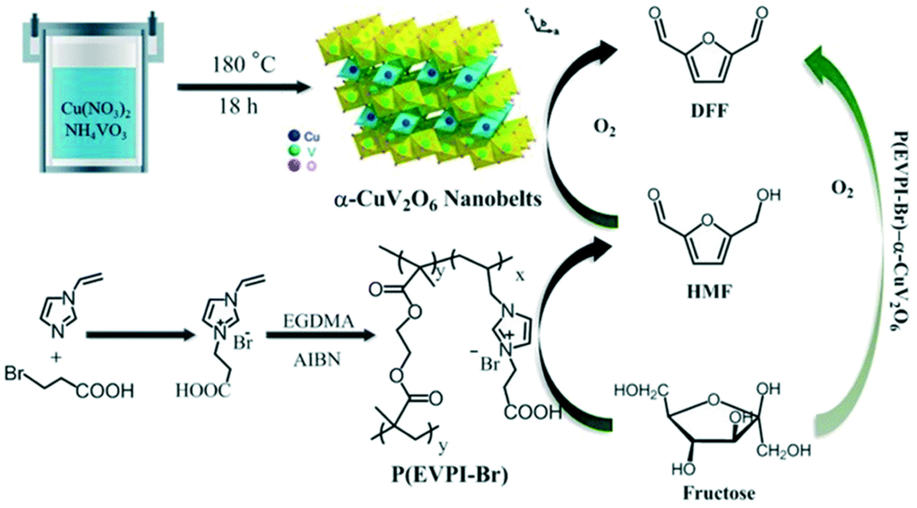 Nanomaterials 14 01937 g015