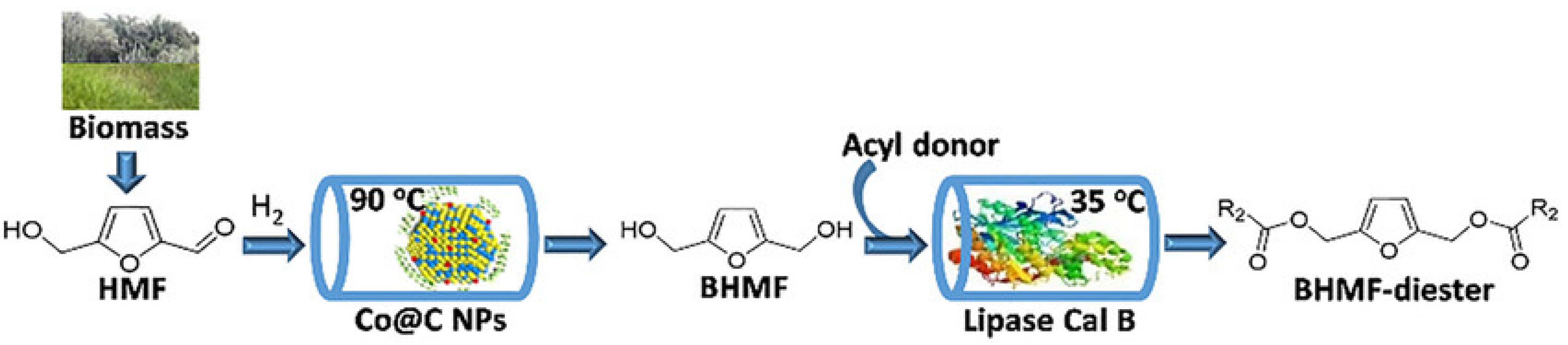 Nanomaterials 14 01937 g023