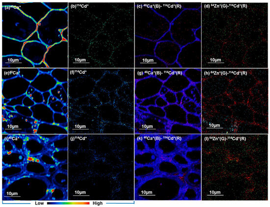 Advances and Challenges in Tracking Interactions Between