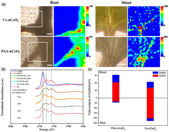 Advances and Challenges in Tracking Interactions Between