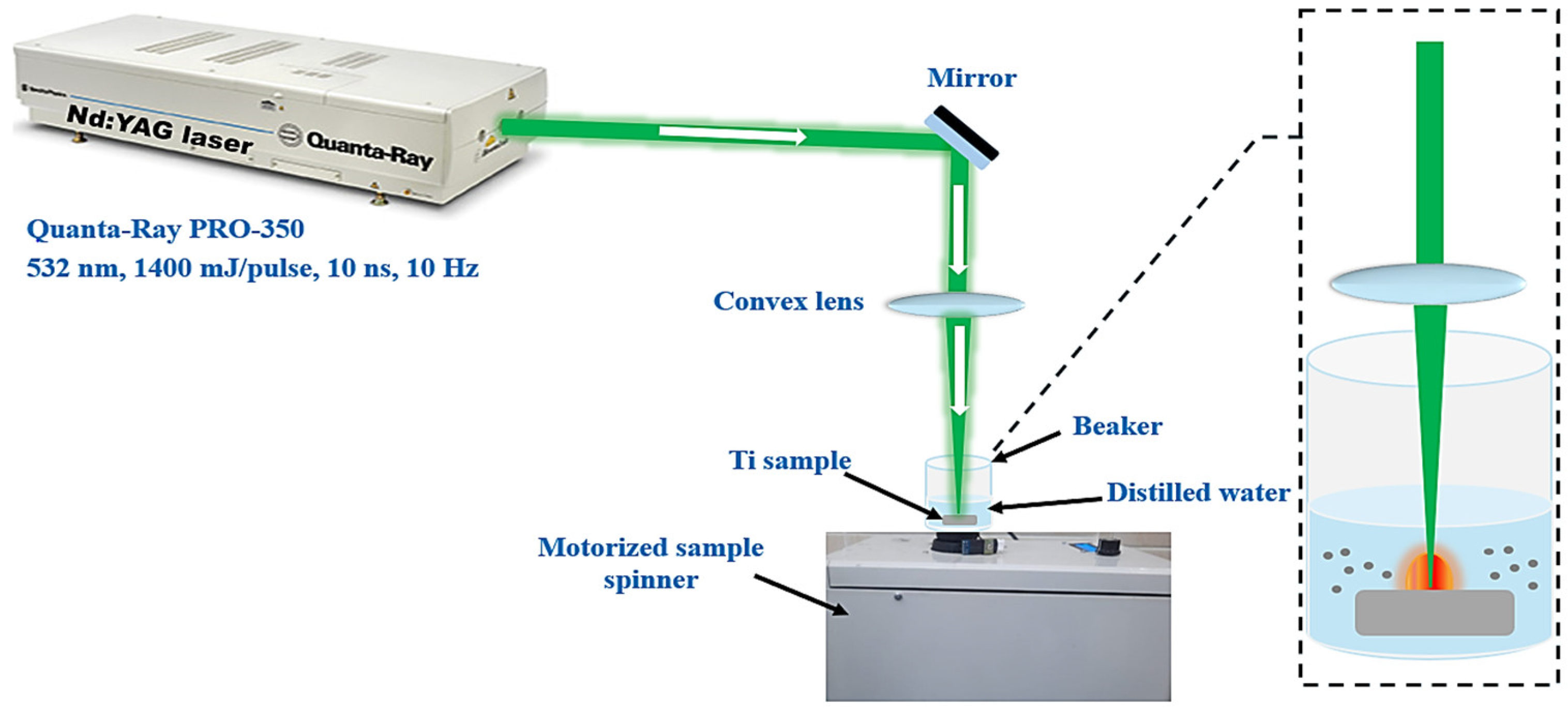 Nanomaterials 14 01940 g001