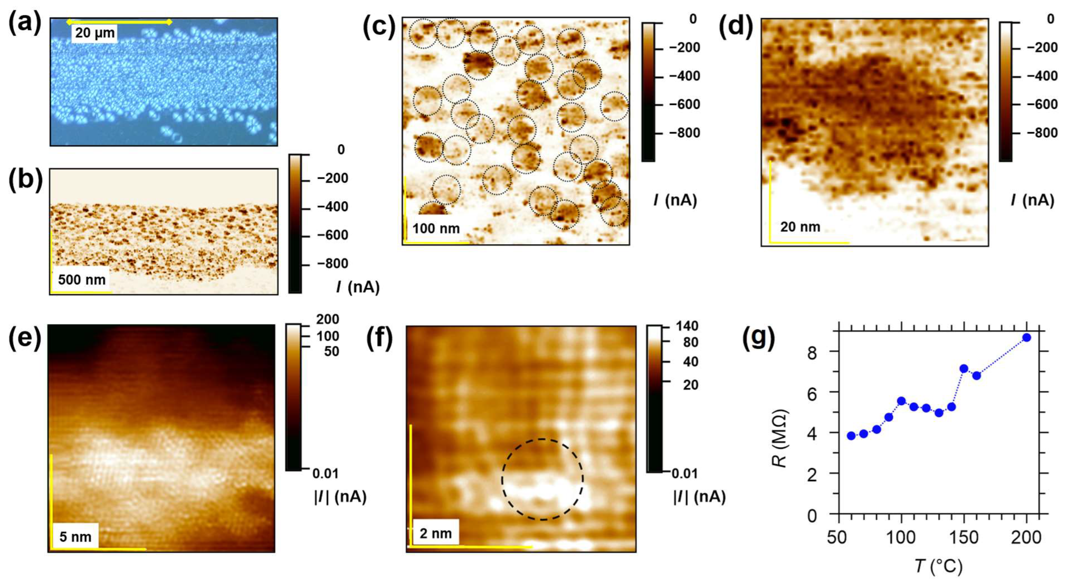 Nanomaterials 14 01944 g009 Nanomaterials 14 01944 g009