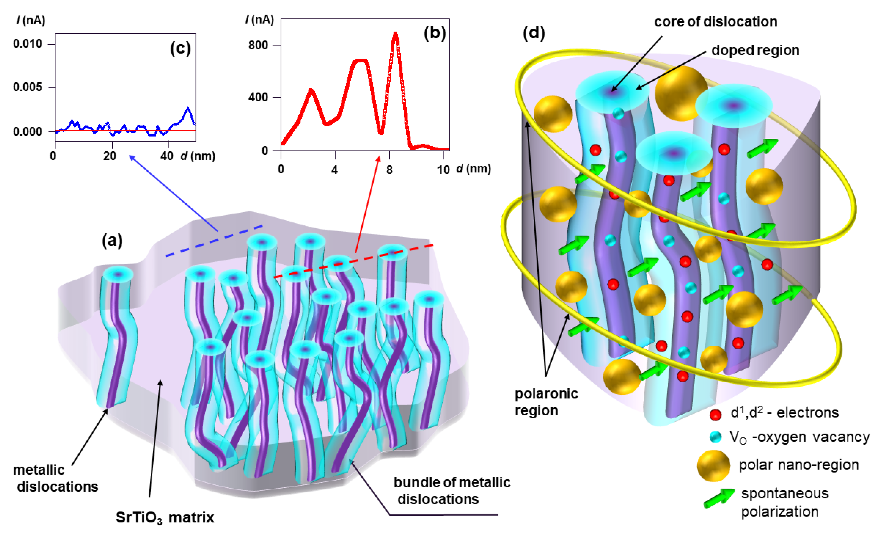 Nanomaterials 14 01944 g013 Nanomaterials 14 01944 g013