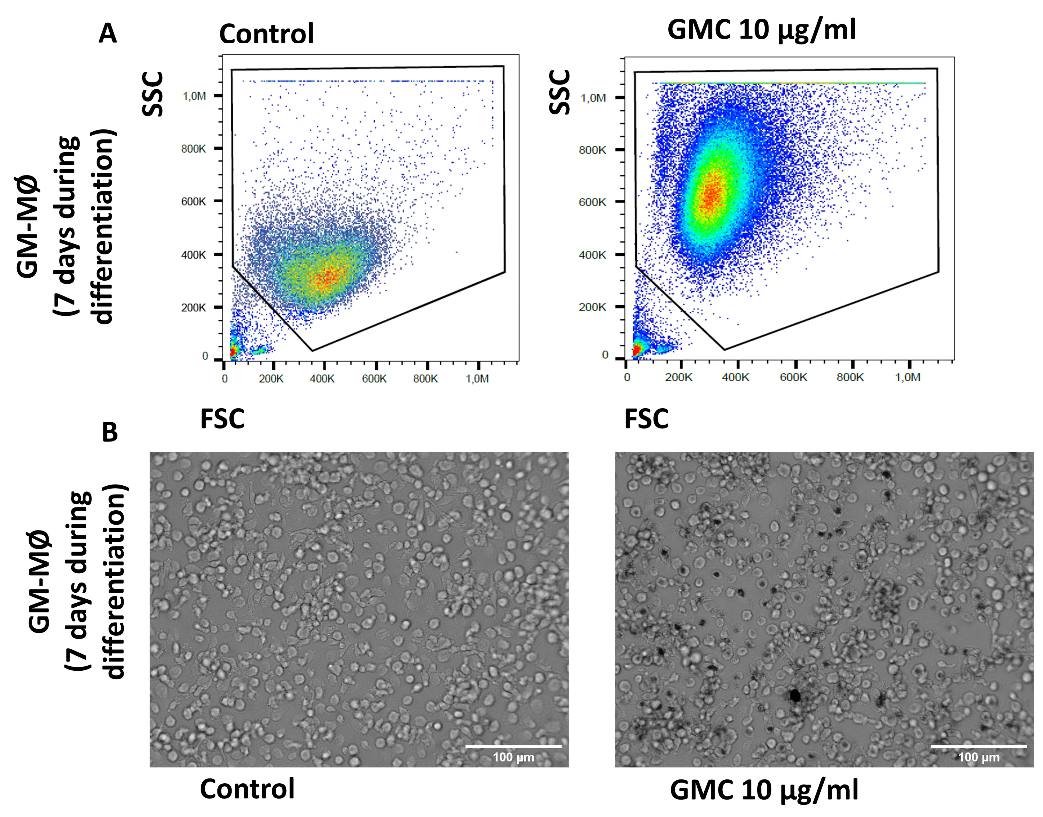Nanomaterials 14 01945 g006