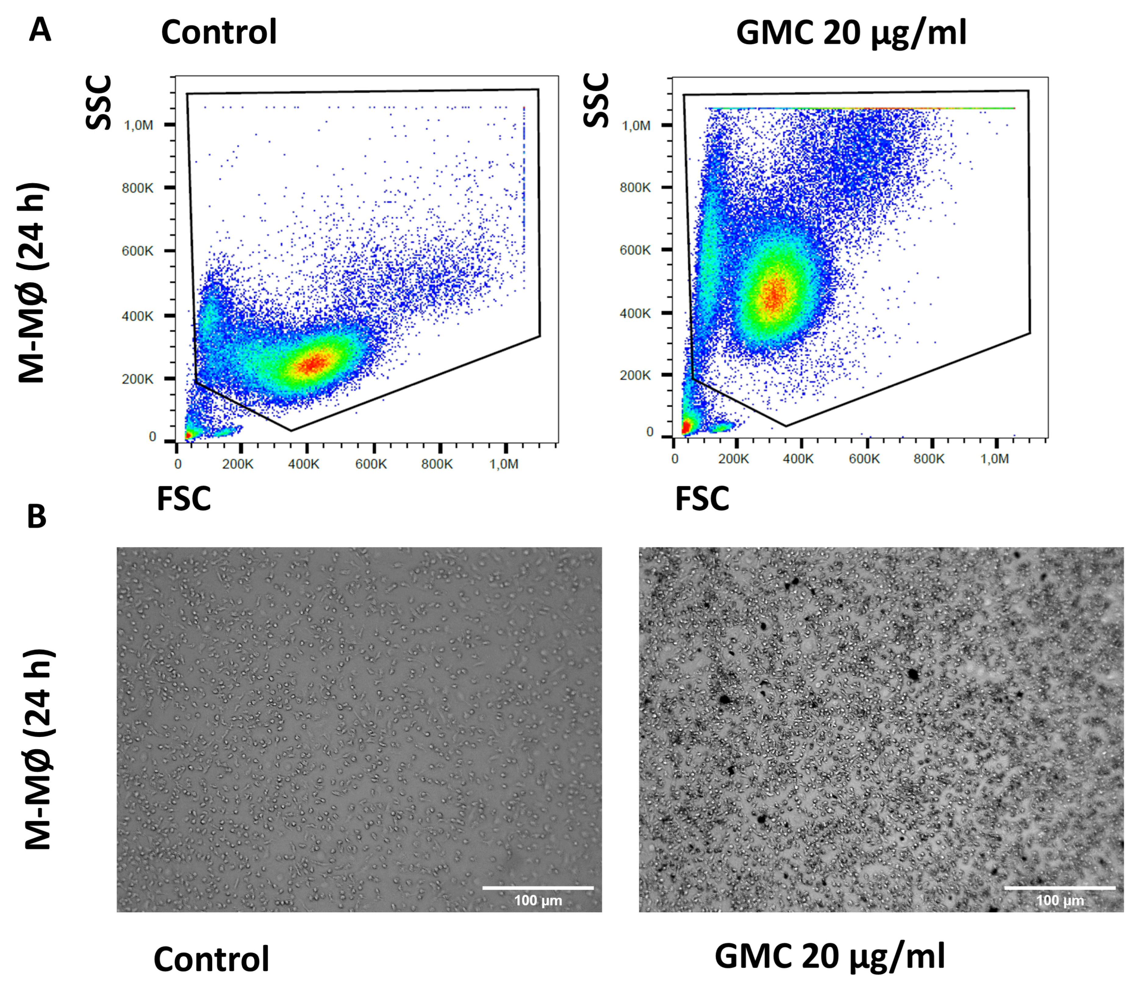 Nanomaterials 14 01945 g008