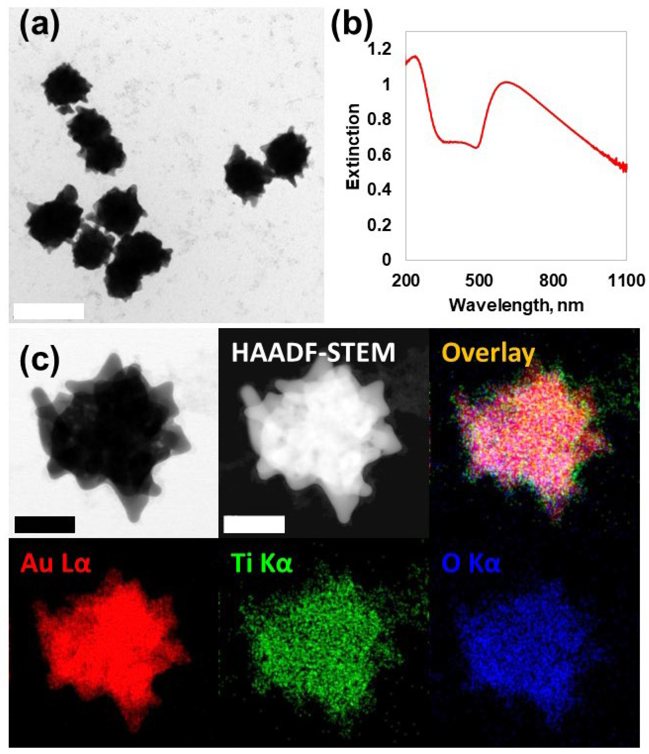Nanomaterials 14 01946 g002