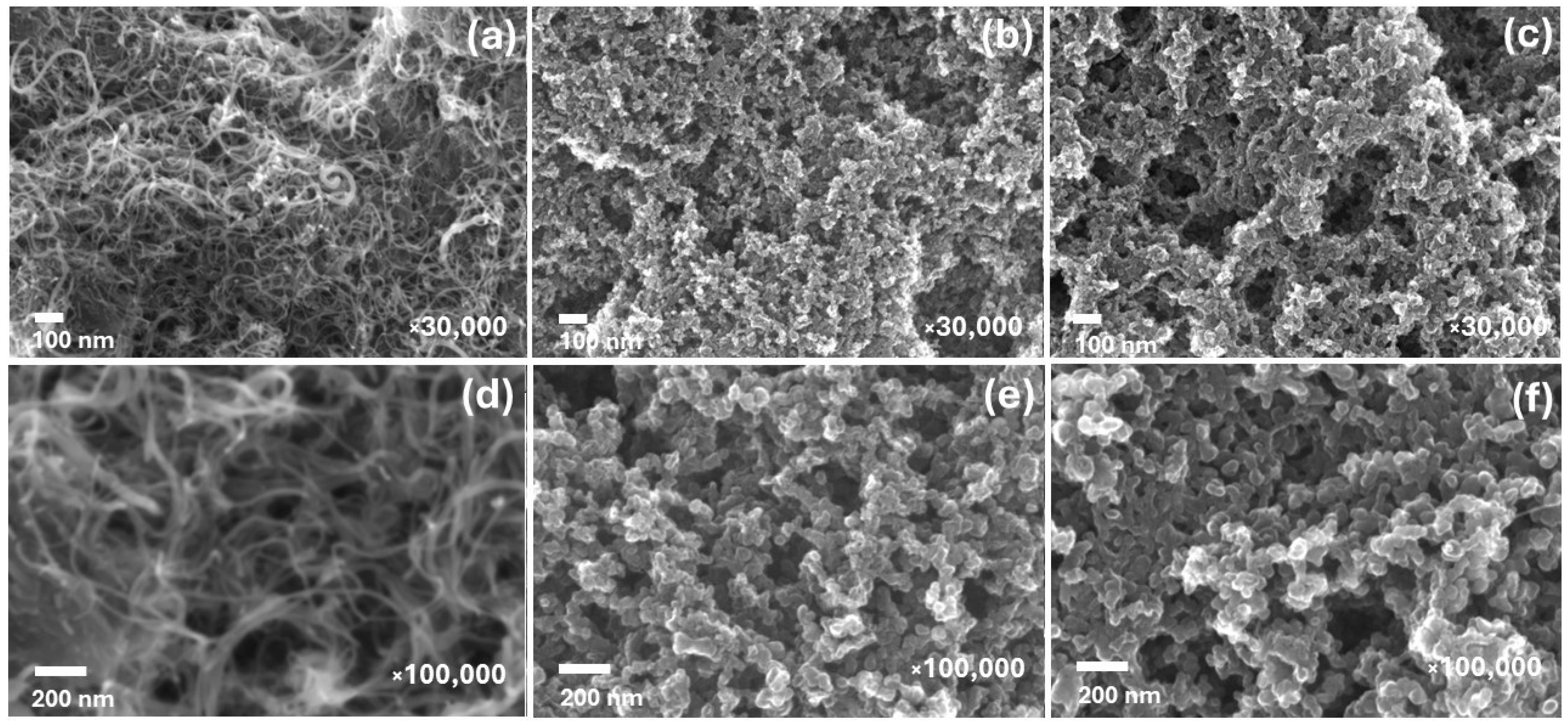 Nanomaterials 14 01948 g001