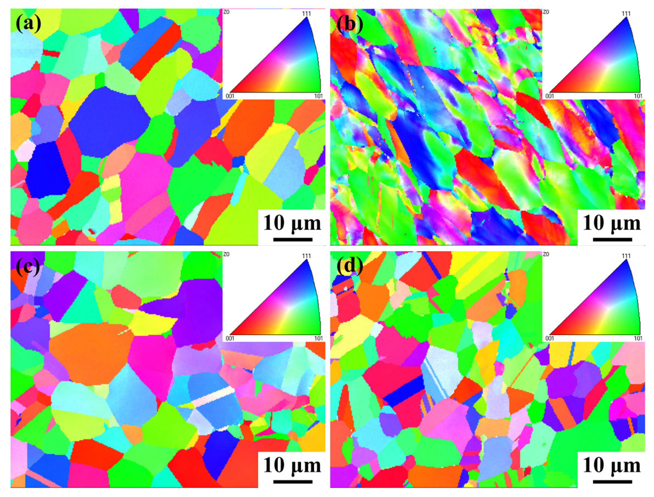 Nanomaterials 14 01949 g010
