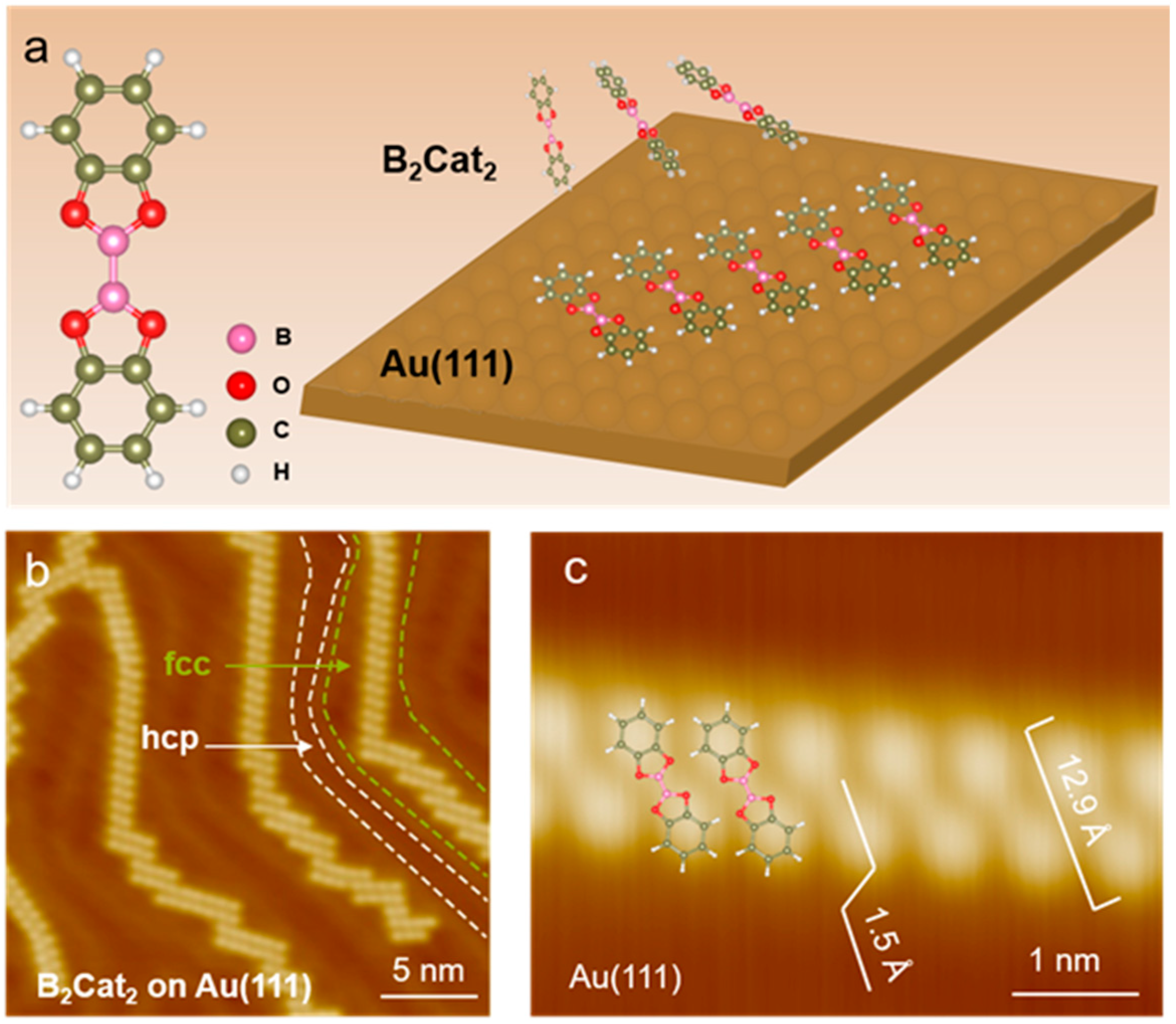 Nanomaterials 14 01952 g001
