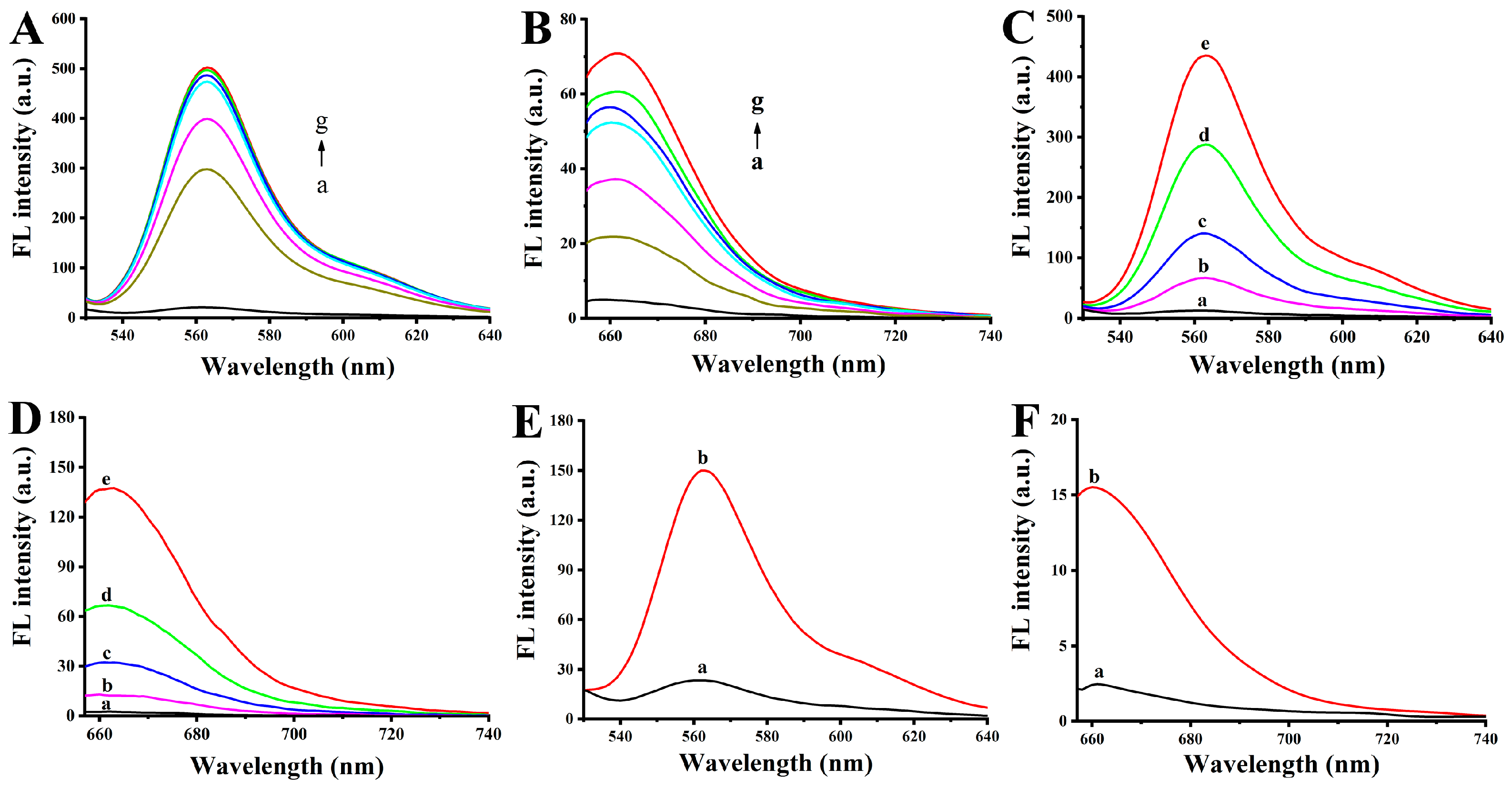 Nanomaterials 14 01956 g001