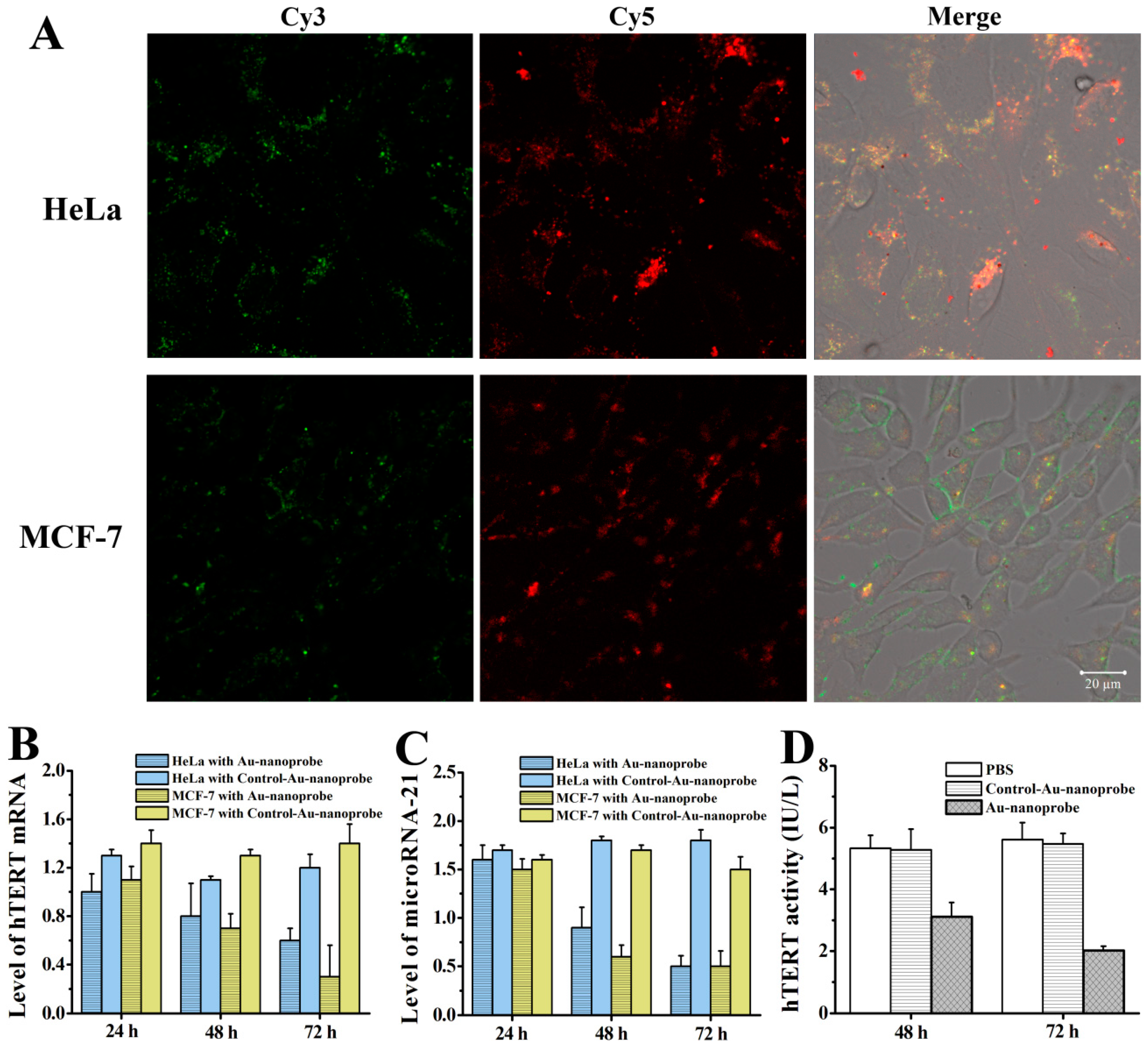 Nanomaterials 14 01956 g002