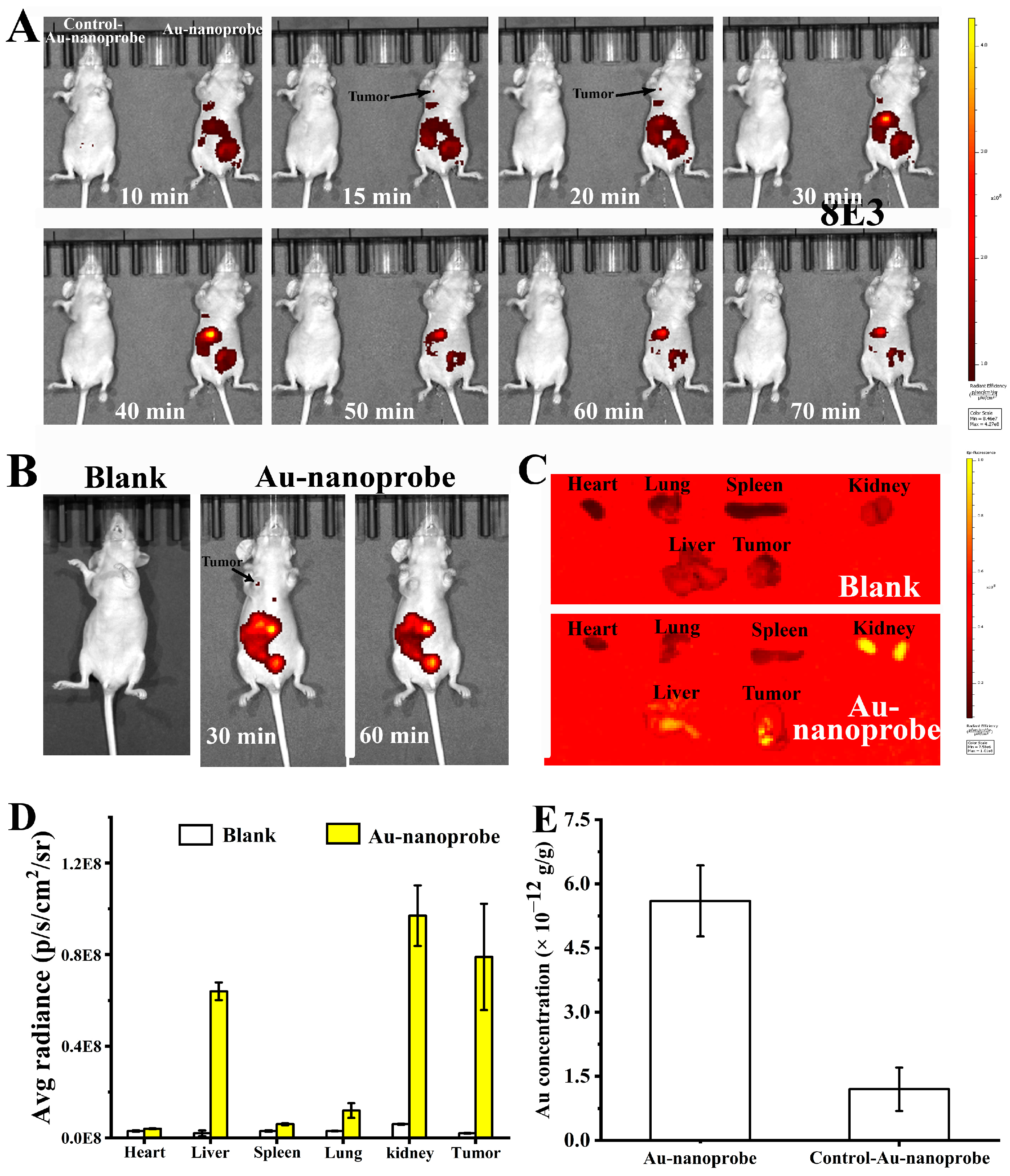 Nanomaterials 14 01956 g004
