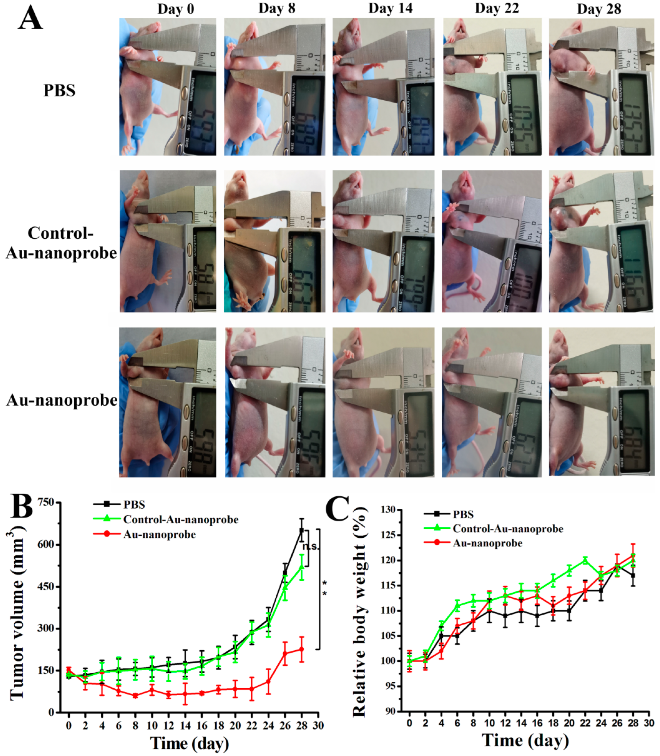Nanomaterials 14 01956 g005