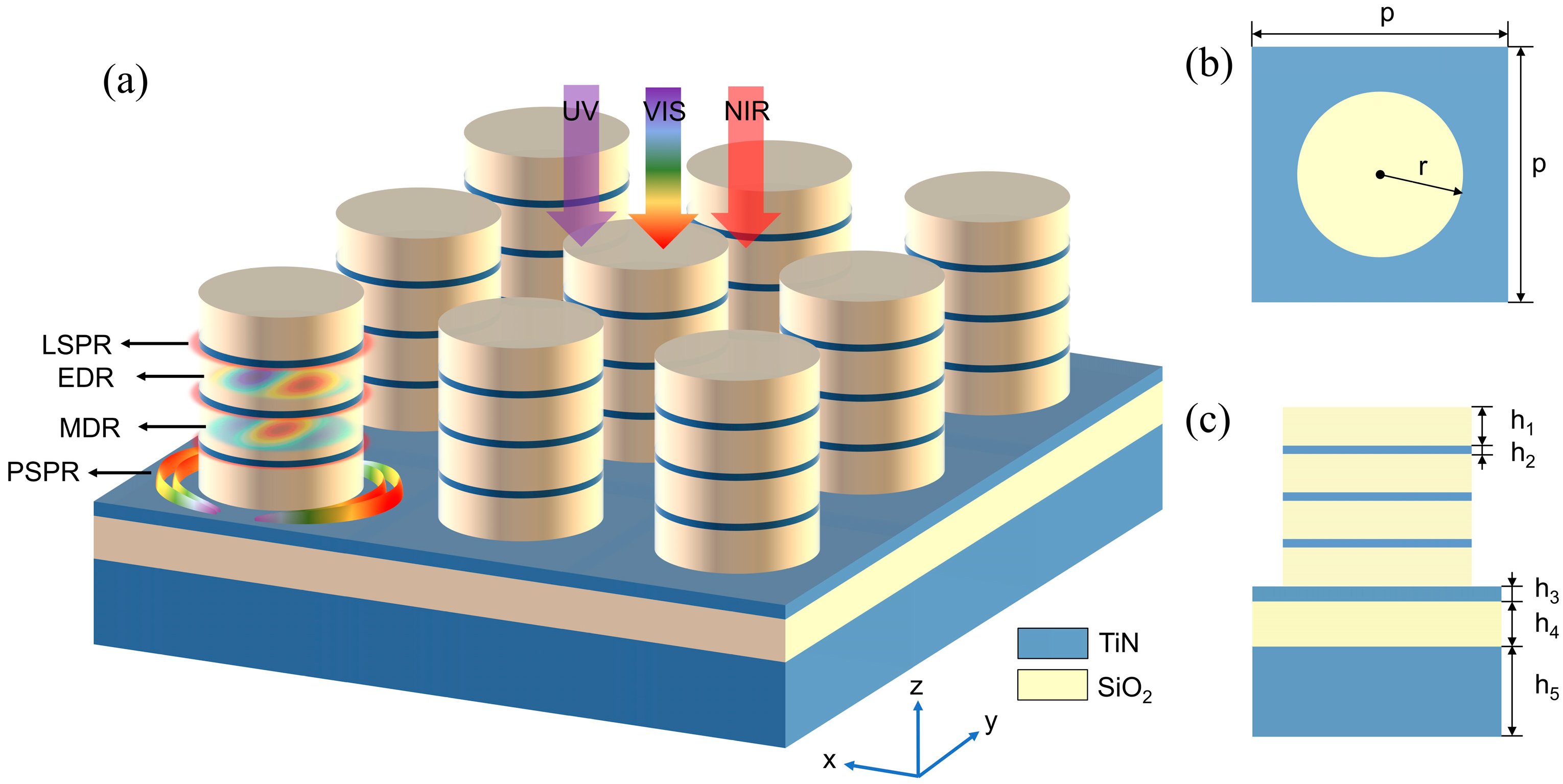 Nanomaterials 14 01959 g001