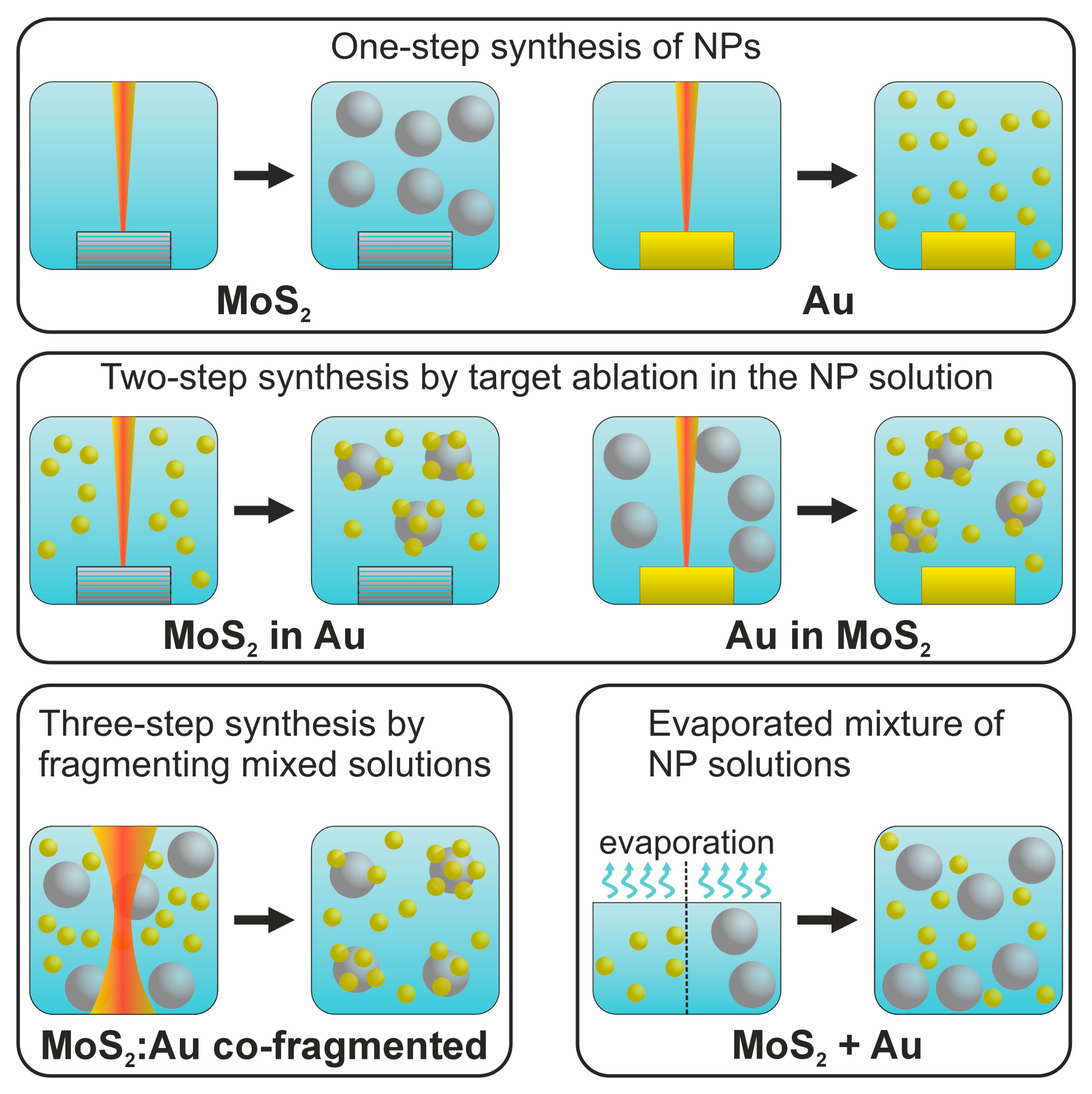 Nanomaterials 14 01961 g001