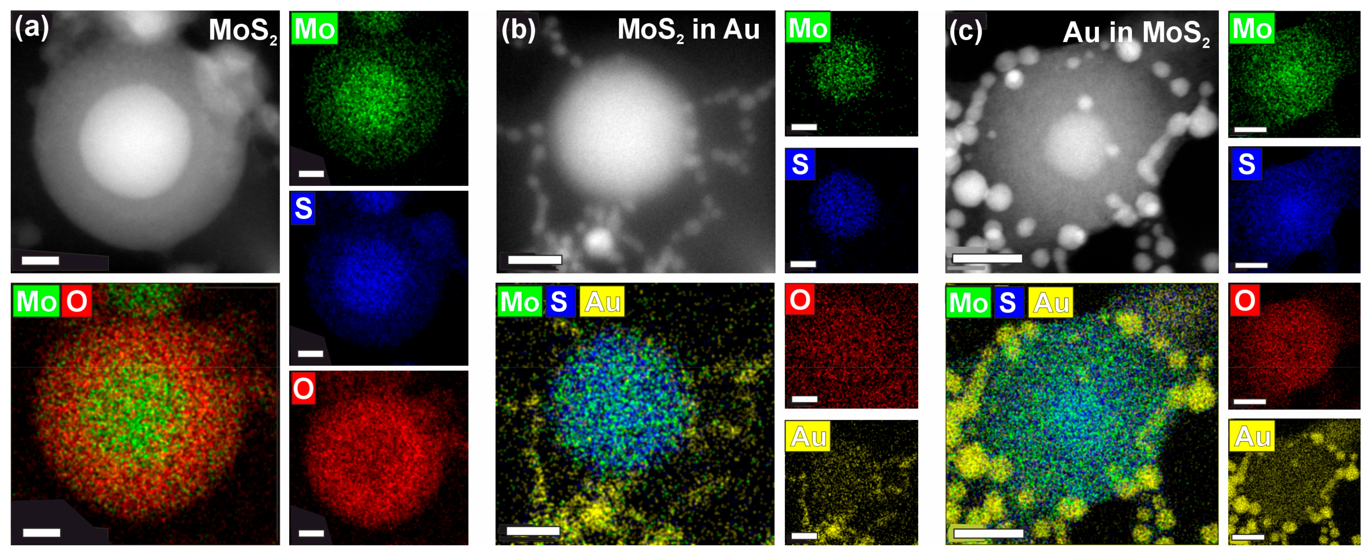 Nanomaterials 14 01961 g004