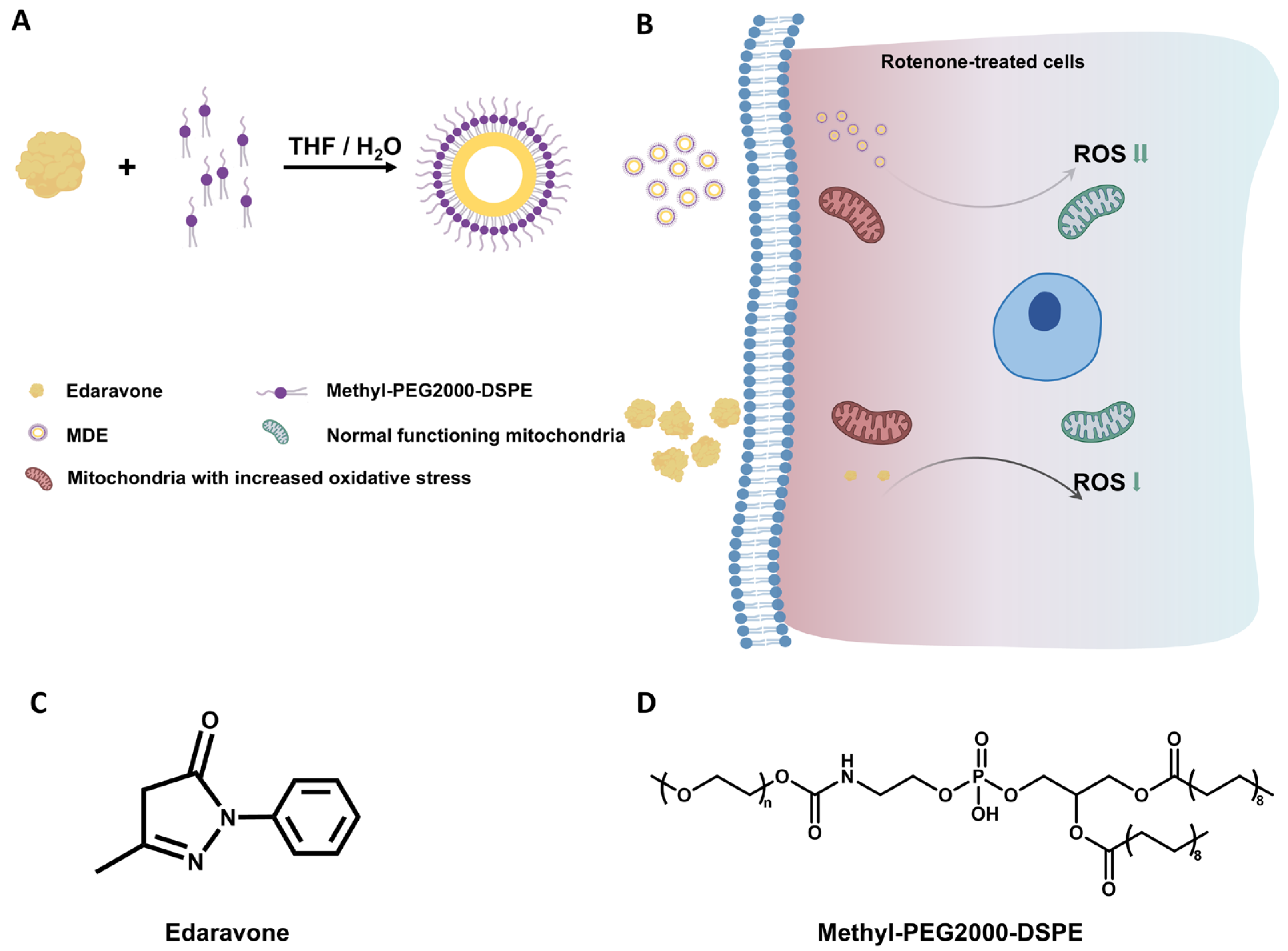 Nanomaterials 14 01962 g001