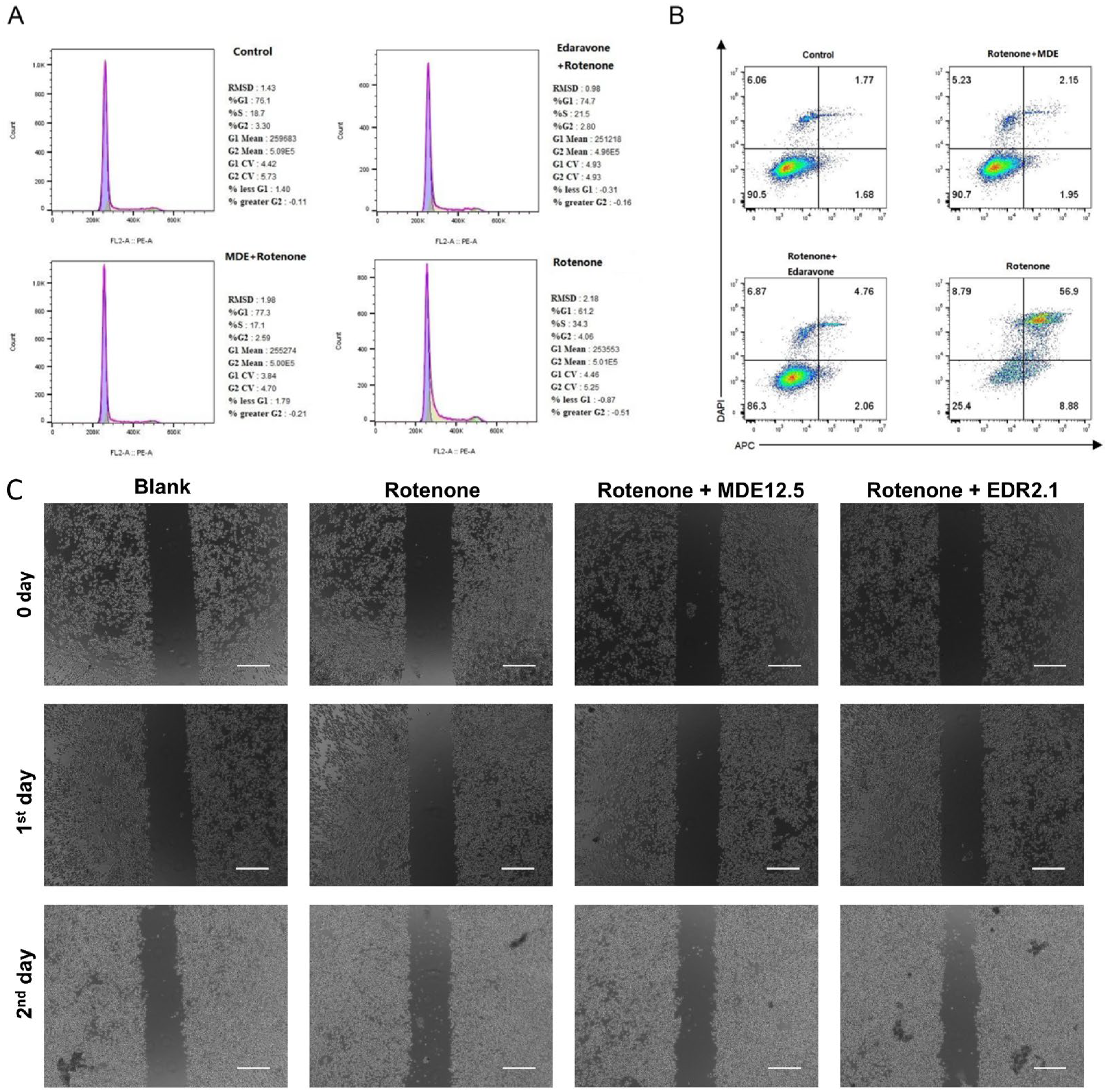 Nanomaterials 14 01962 g004