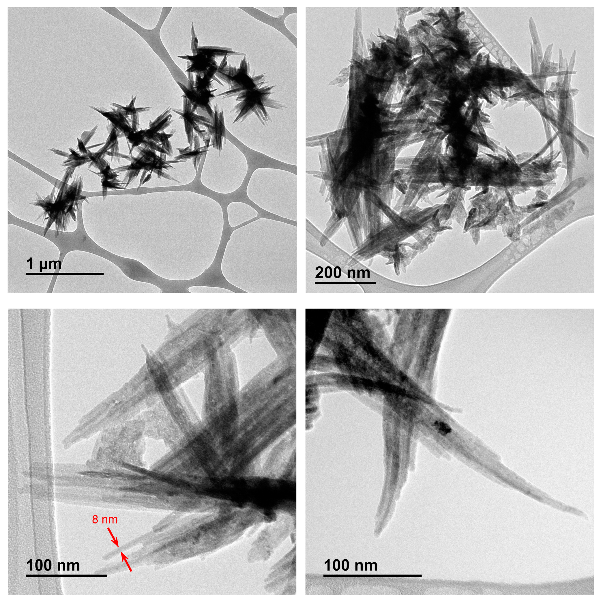 Nanomaterials 14 01965 g001