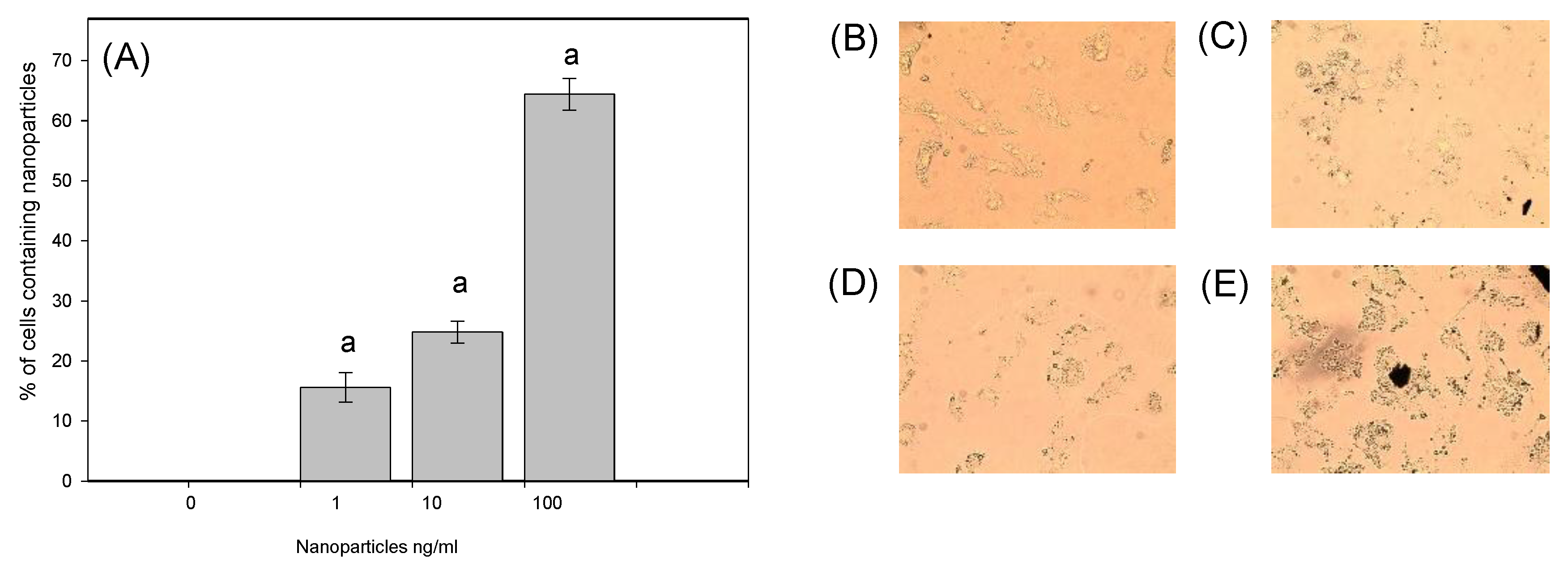 Nanomaterials 14 01965 g006