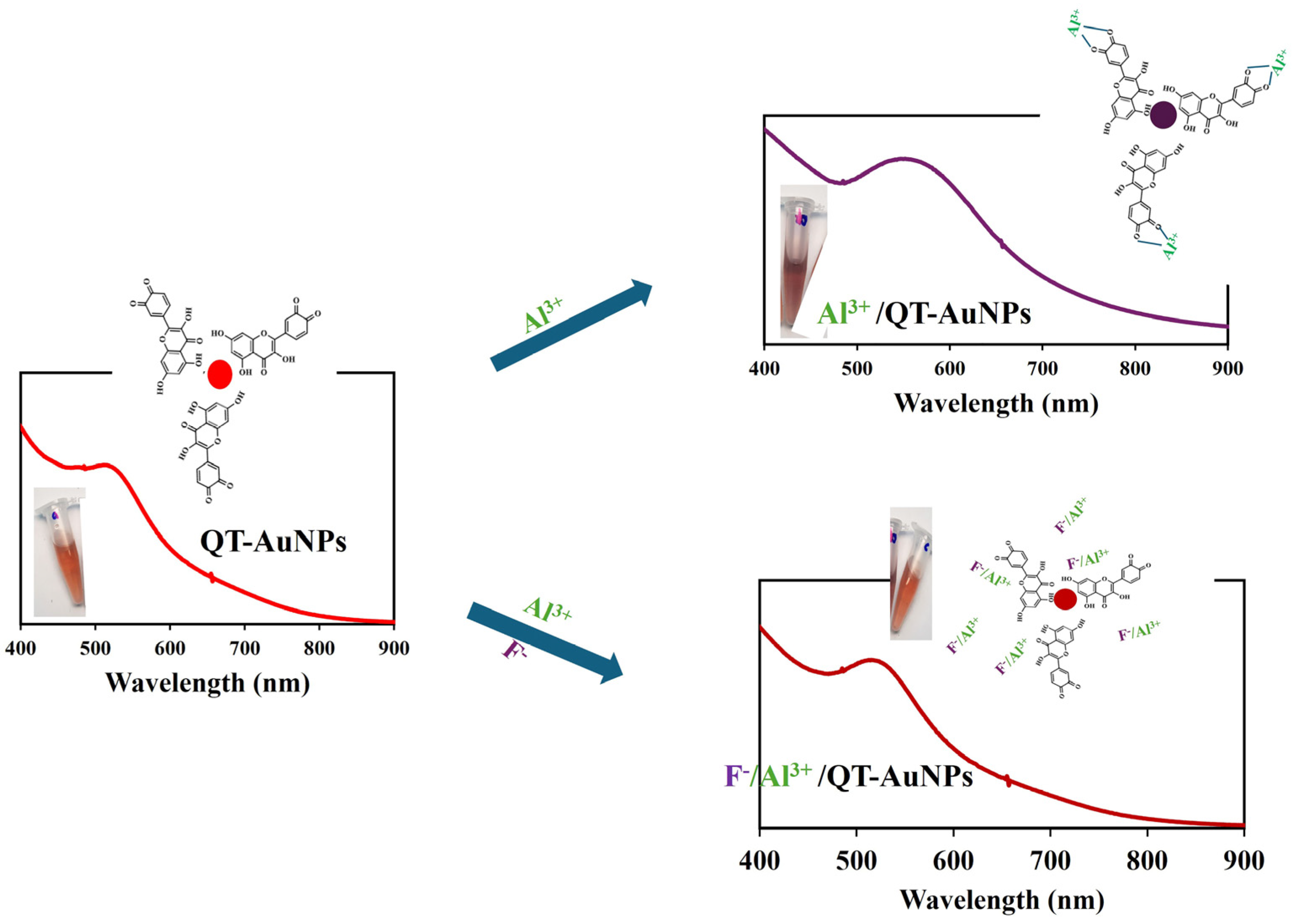 Nanomaterials 14 01967 sch002