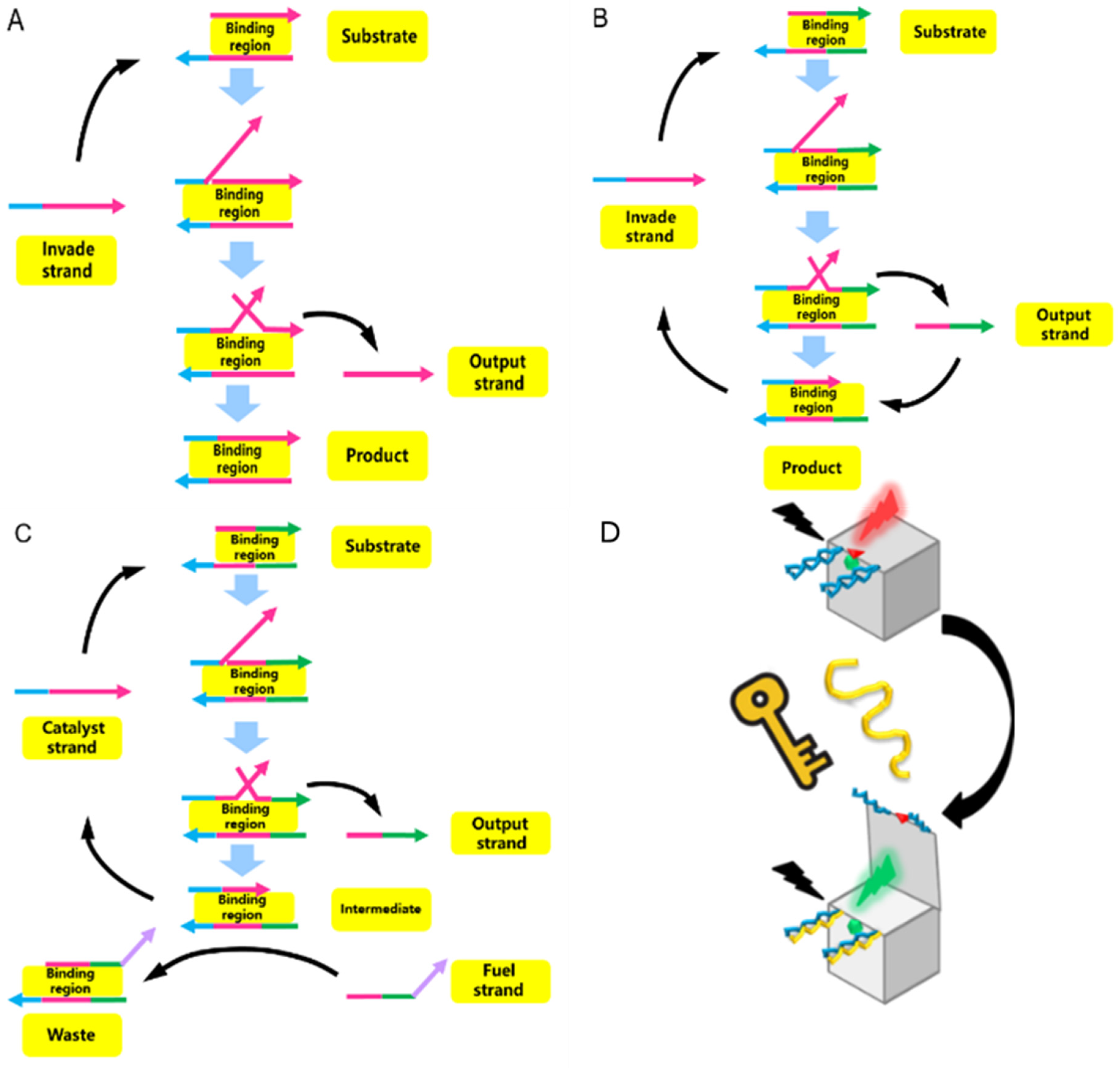 Nanomaterials 14 01968 g002