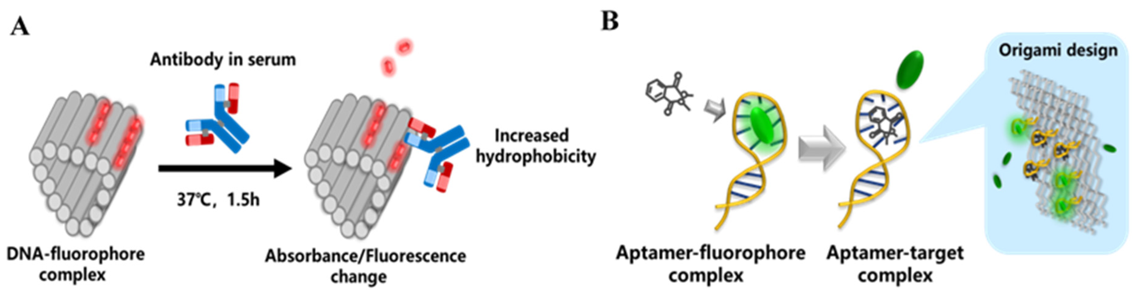 Nanomaterials 14 01968 g003