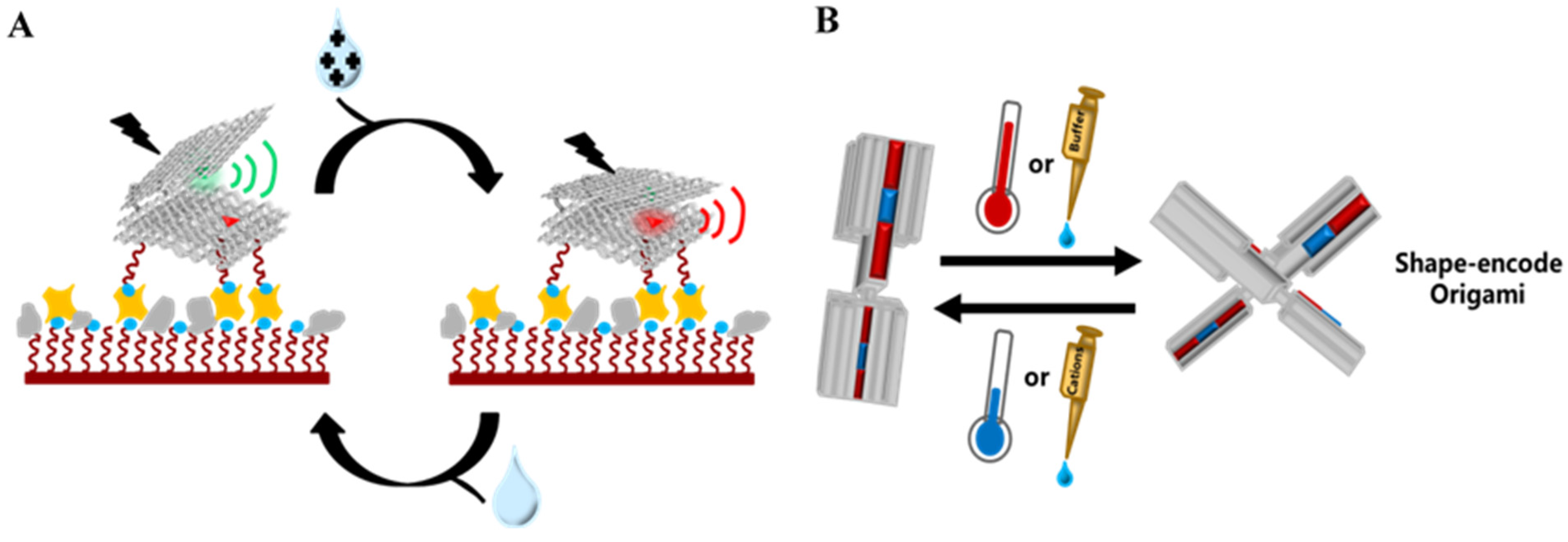 Nanomaterials 14 01968 g004
